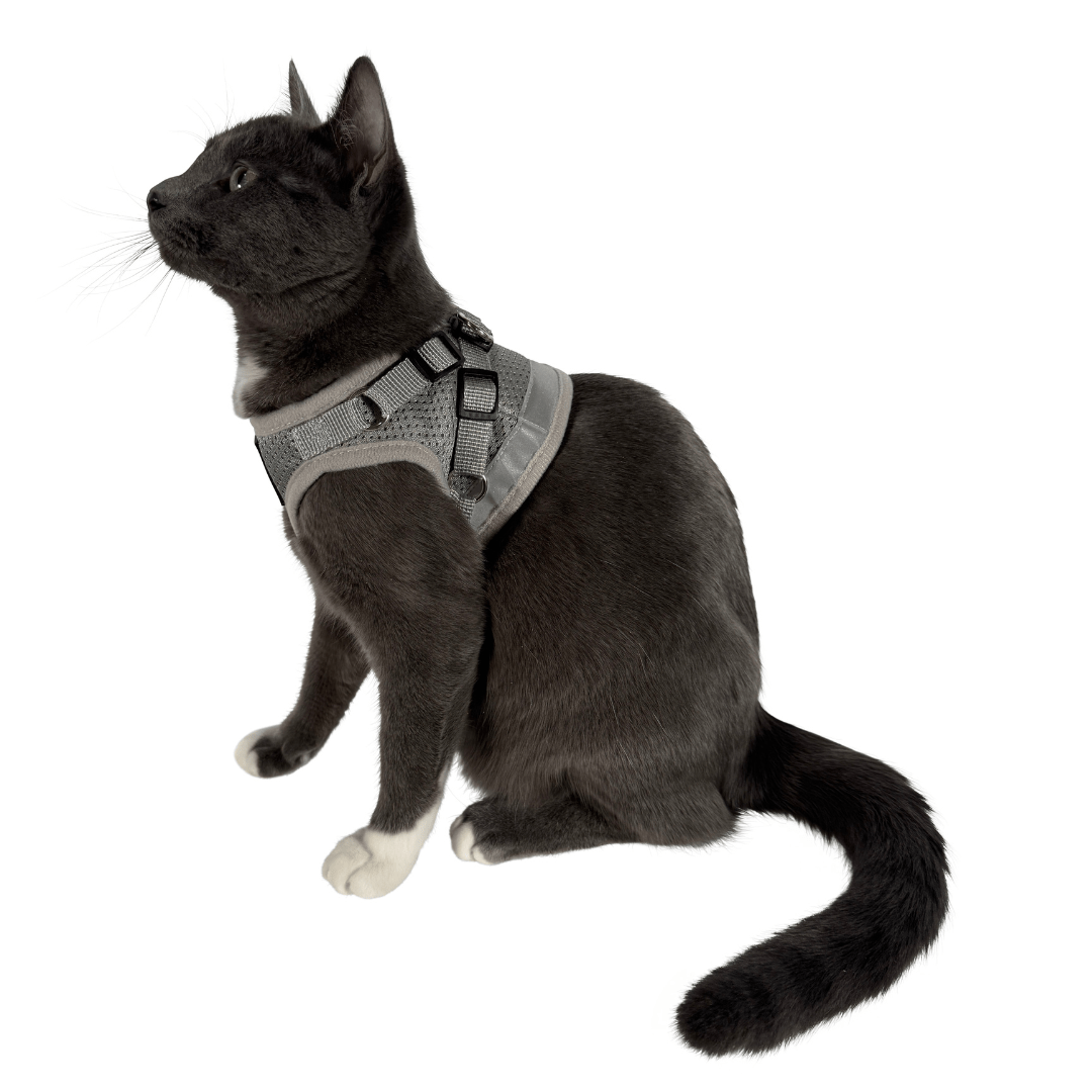 17_26f1b15c-1cae-4812-8ab9-e3fd0a939f99.png
