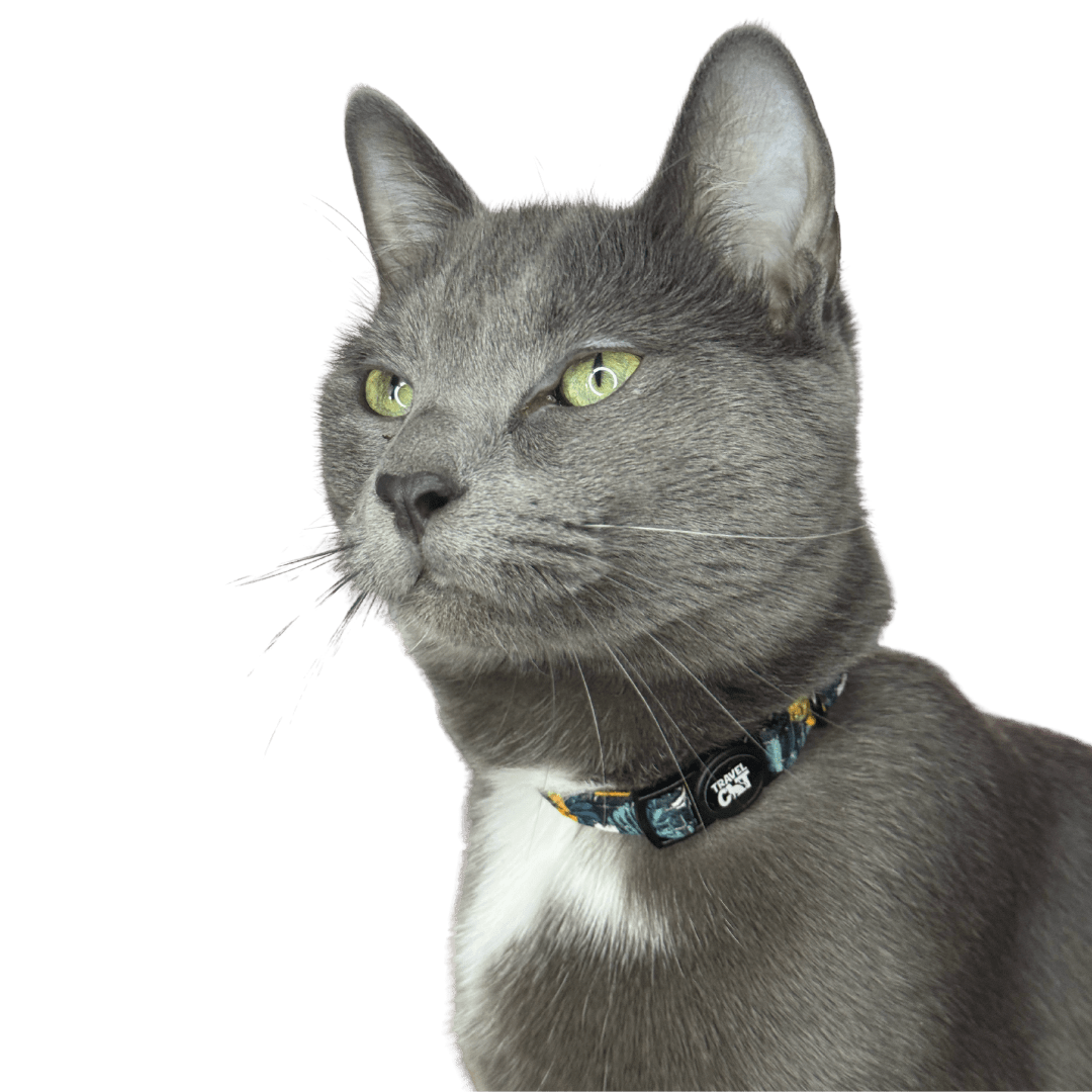 1_25f0b5bb-9050-40b7-a9ef-c17e30989f69.png