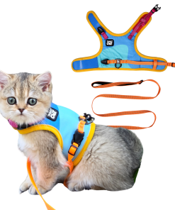 "The Tiny Adventurer" - Kitten Harness and Leash Set