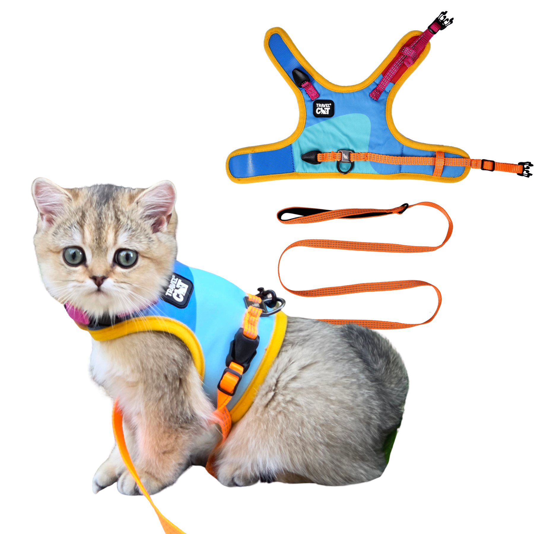 1_36f19fac-5a2f-4abb-a927-825816739c96.png