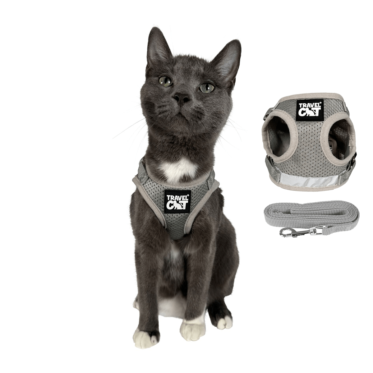 1_GREY_MAIN_ac9bdb4a-5c73-480c-81a5-1fcbc65b2ad1.png