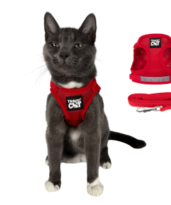 "The True Adventurer" Reflective Cat & Kitten Harness and Leash
