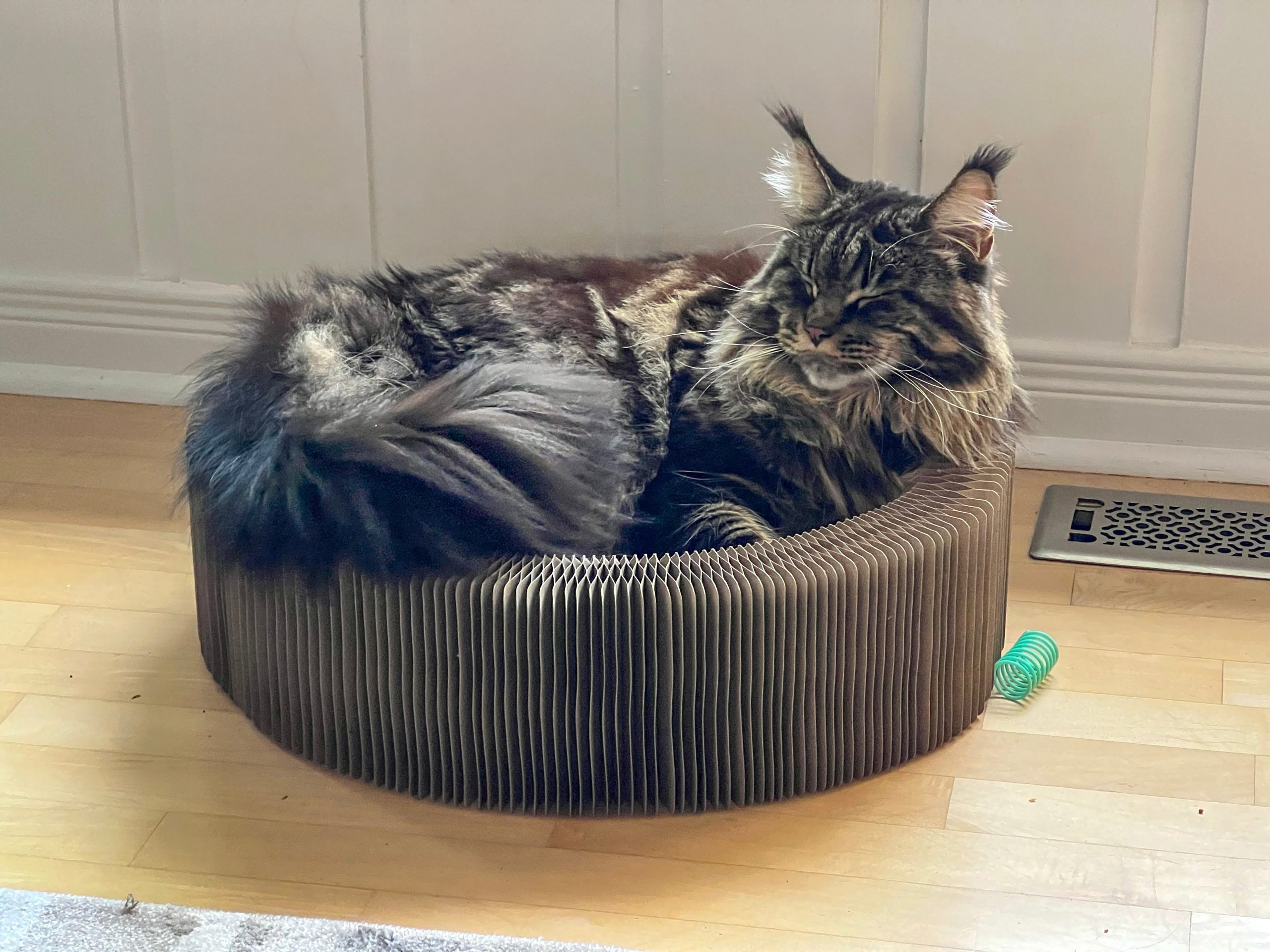 26801E4F-B26F-4E50-BEAC-6C35B370B353-michelefreeland.jpg
