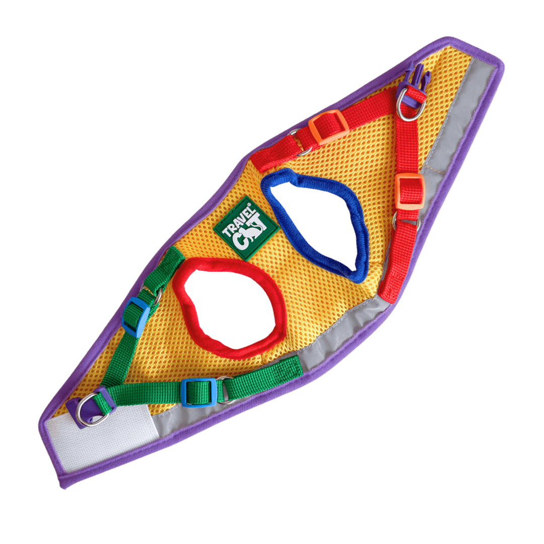 7_5ac4610d-6f26-469a-9389-0a92e3fba804.png