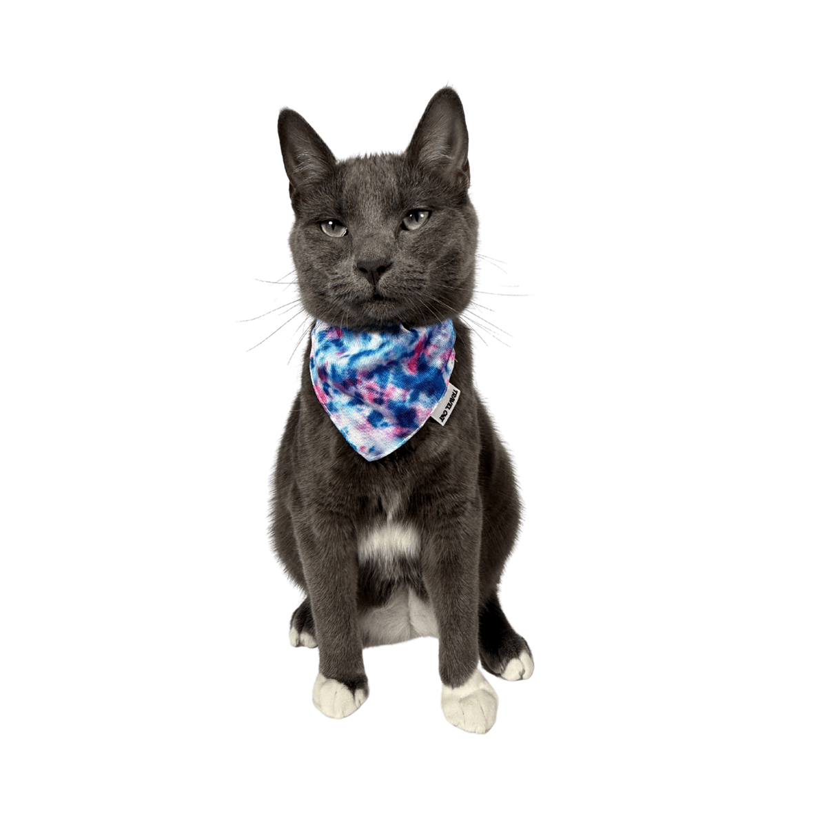 Artboard6_55463797-0f1c-4f31-9984-5dcfd68ebb2f.png