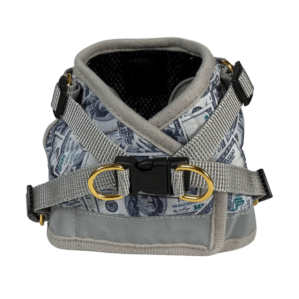 CASH_CAT_BACK_1.png