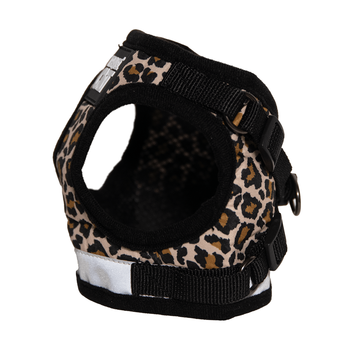 CHEETAHSIDE_1.png