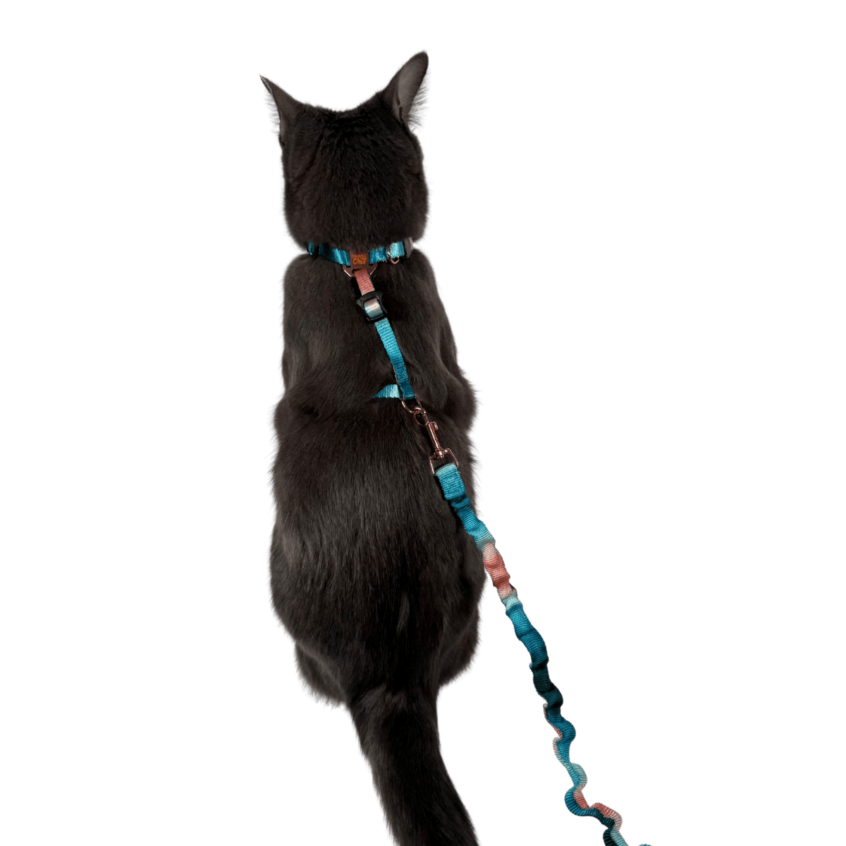 DAYTRIPPERWATERCOLORHARNESS2_39ead664-2b4a-422e-9d0f-65931ac430b3.png