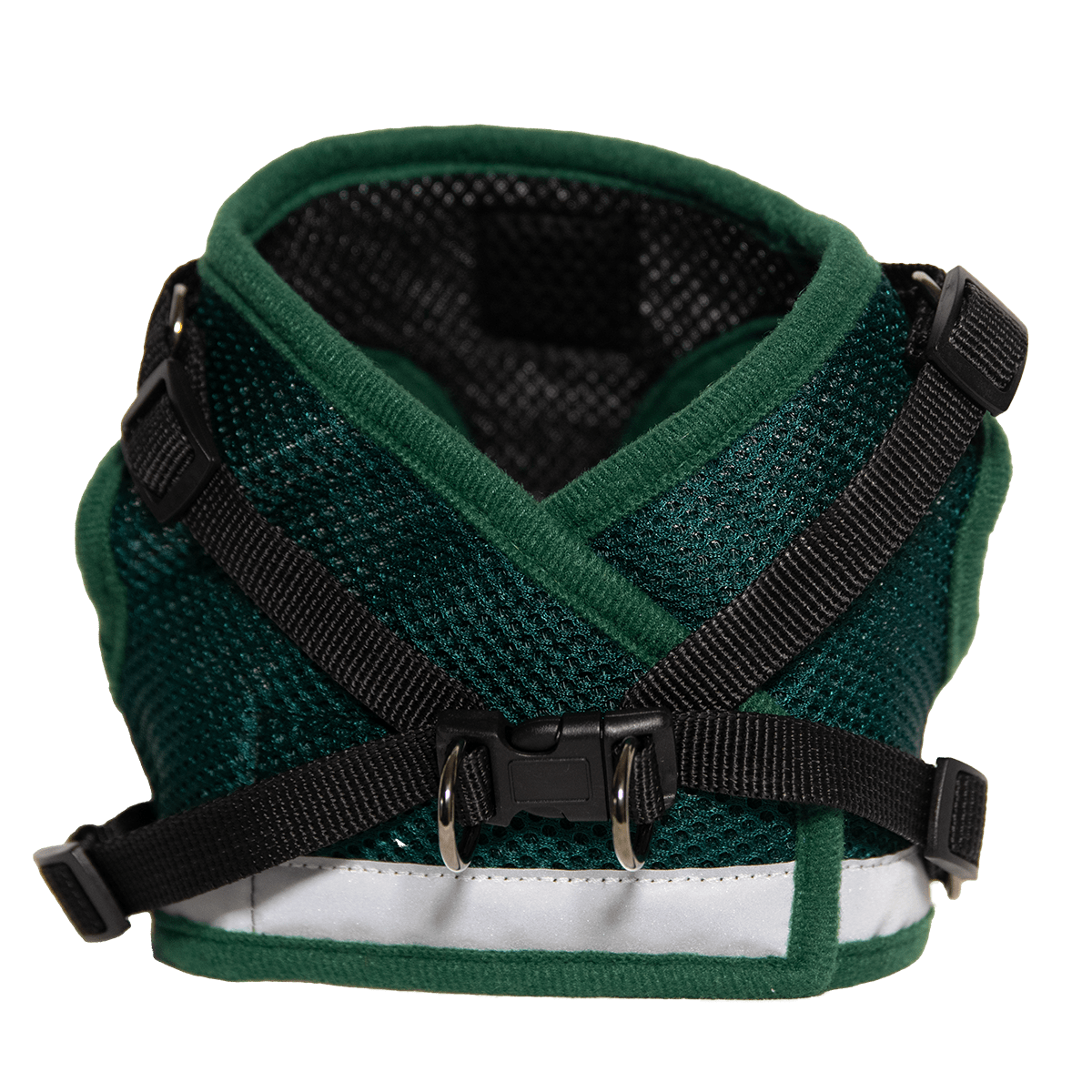 EMERALDBACK_1_ed748efb-3af0-4240-ae39-b7596af4bc1e.png