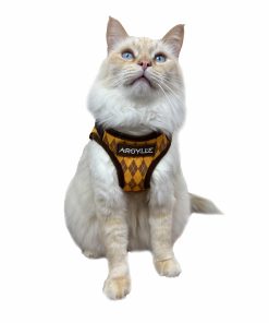Argylle x Travel Cat Harness & Leash - Officially Licensed