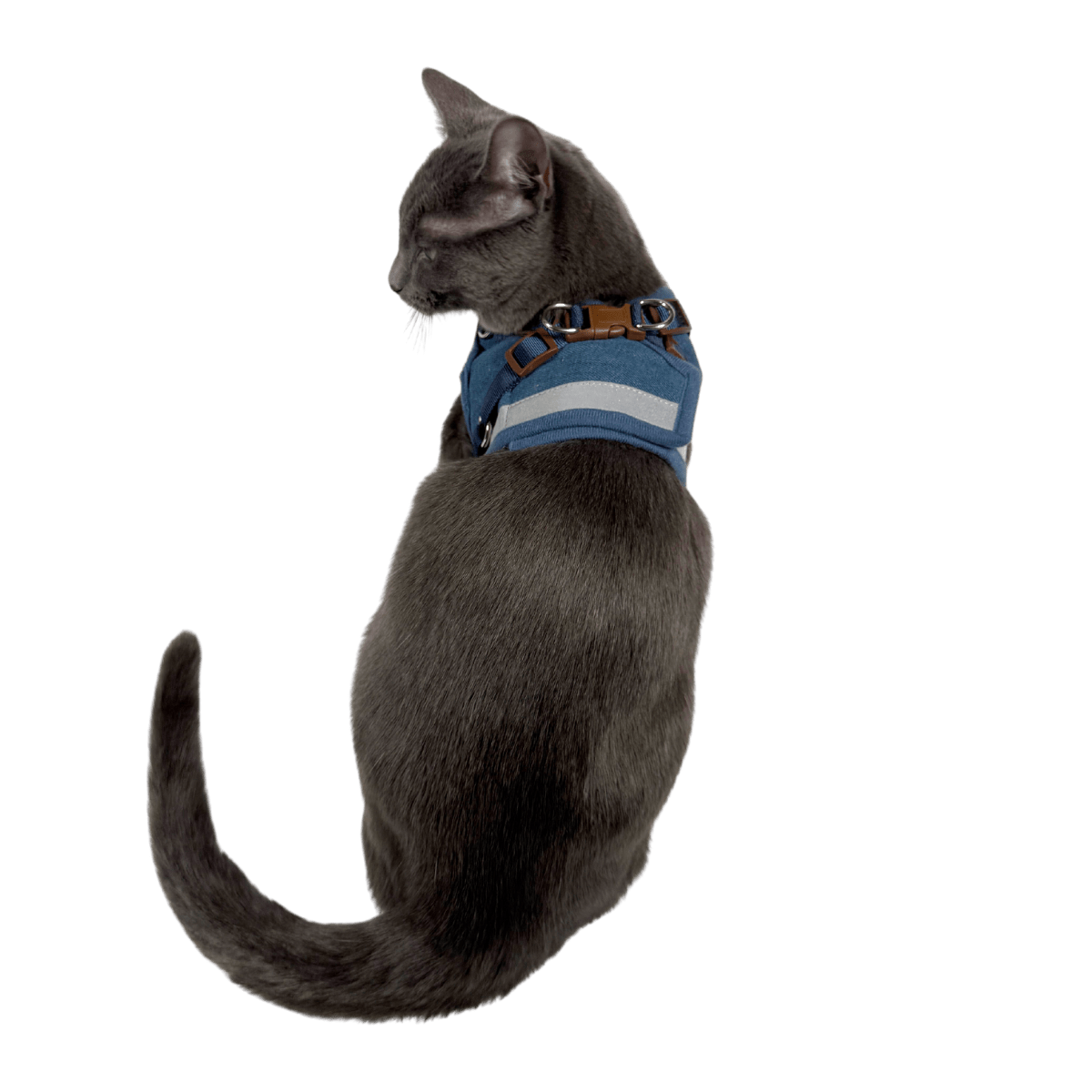 JEANBACK_ad04812a-772c-42e7-a456-f14ff2c7b746.png