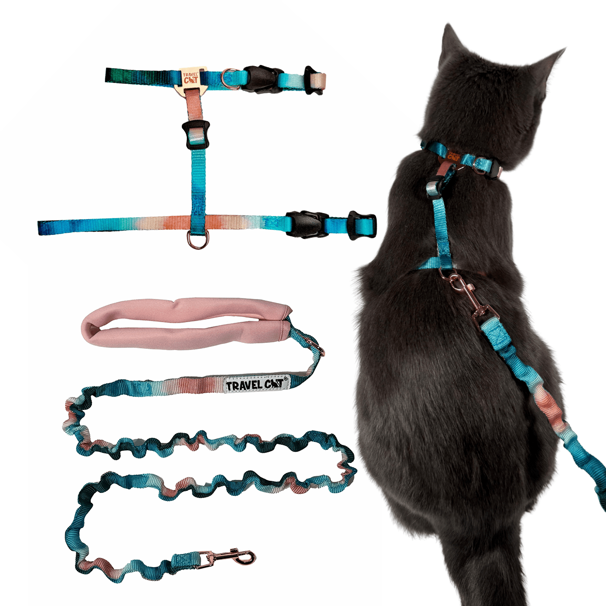 ONE_73090607-ee0c-4c7f-90ab-a509bced814b.png