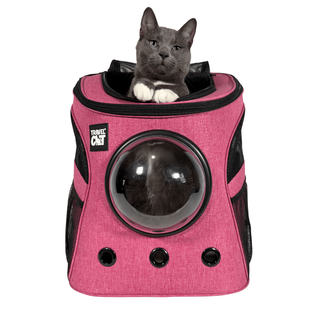 Pink_Fat_Cat_Cover_Photo.png