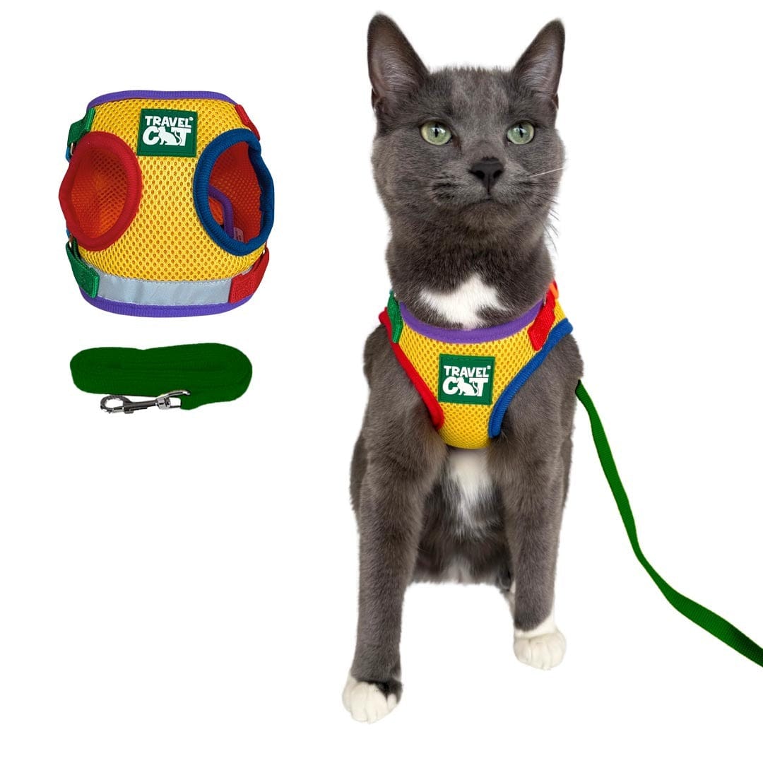 Rainbow_harness_main.jpg