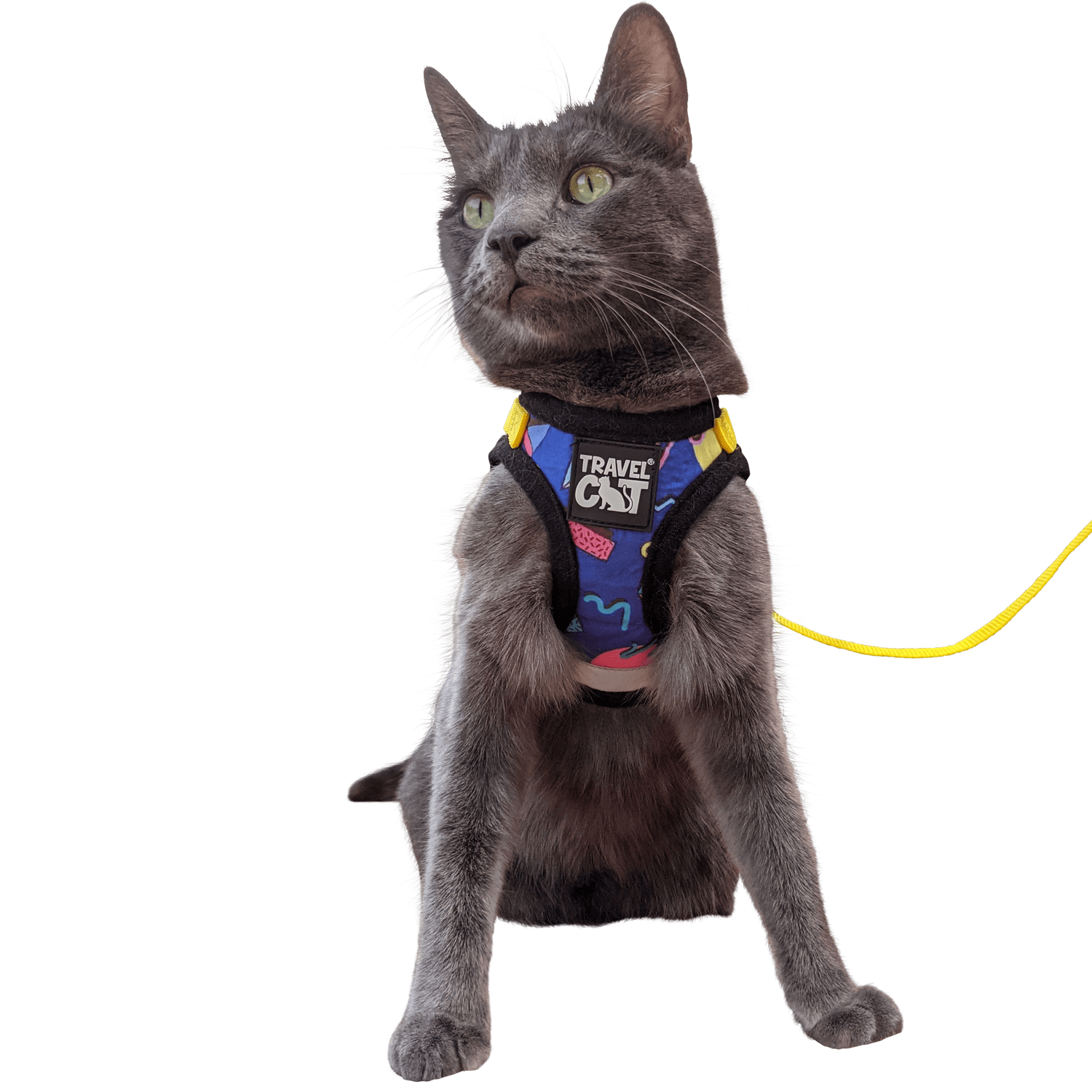 True_adventurer_90s_harness_Travel_Cat_c06a5353-0641-4a20-ad09-611c386f6f9a.png