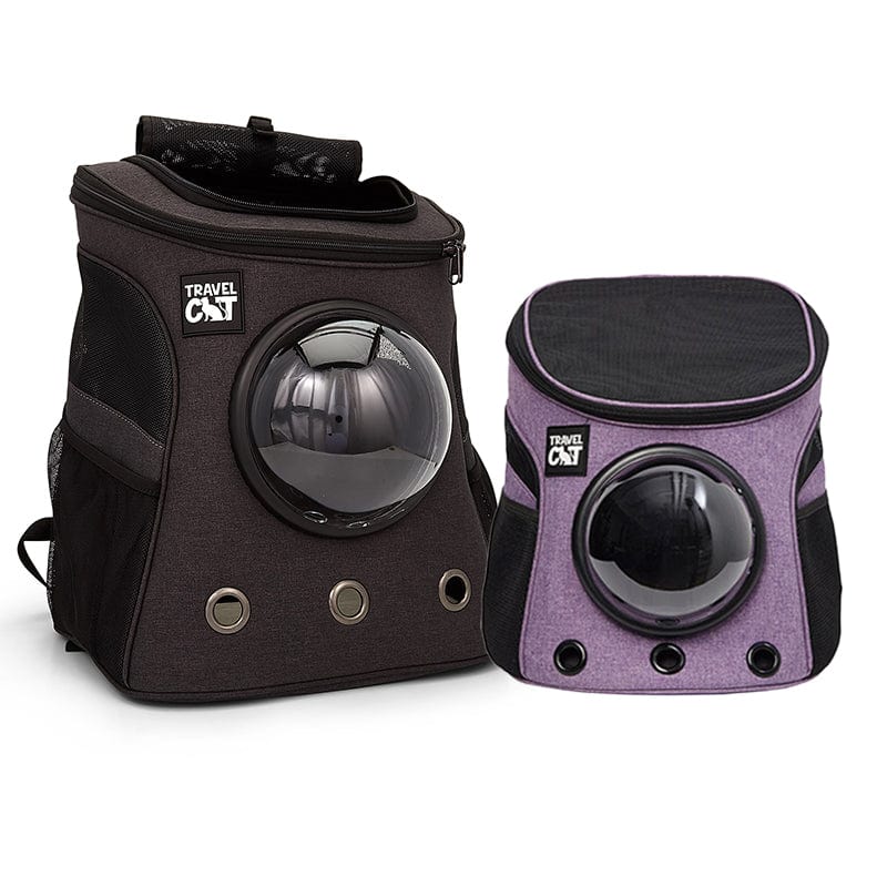 blackandpurplefatcat_38f7d424-c442-4551-9744-a9fa49effcad.jpg