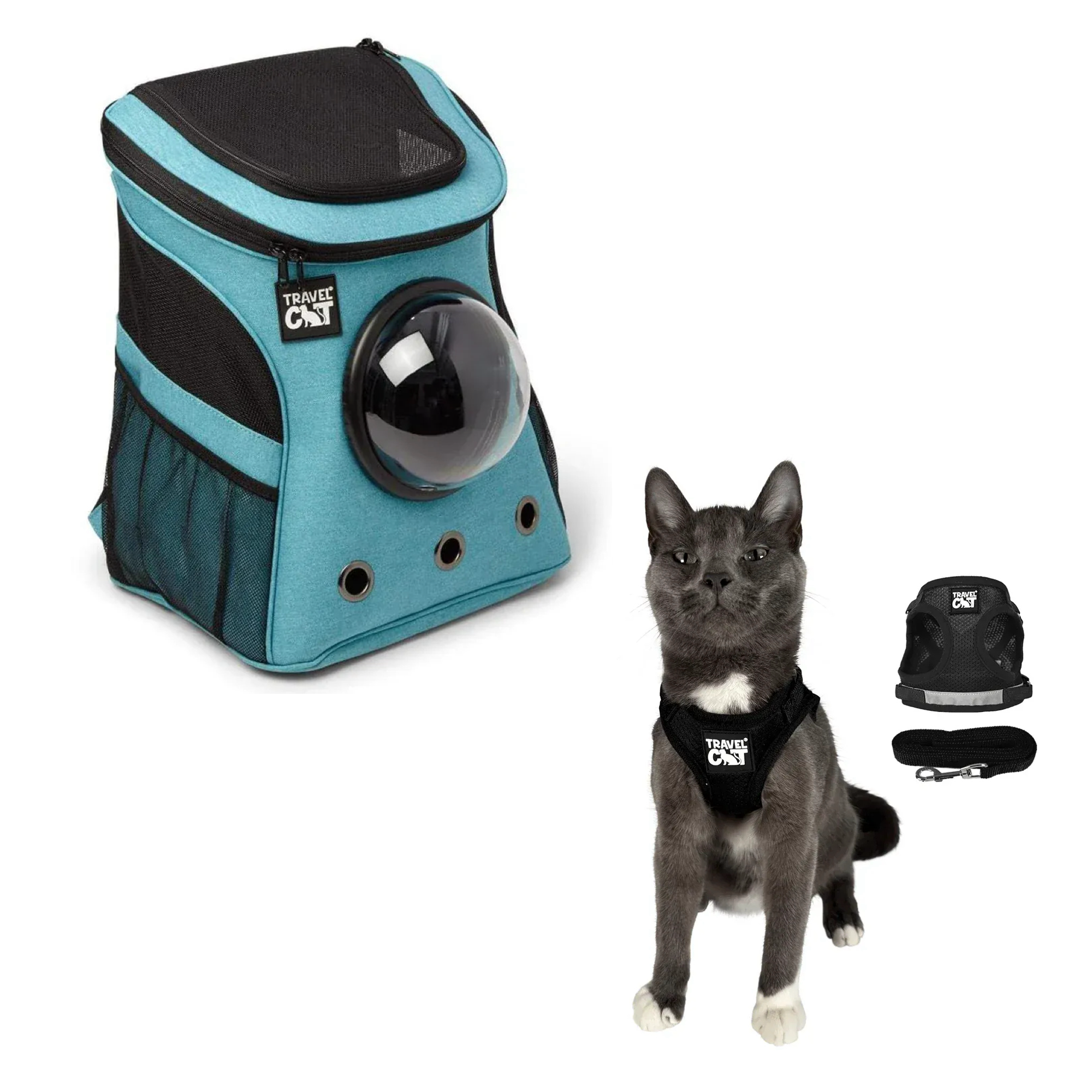 fat_cat_aqua__black_1.png