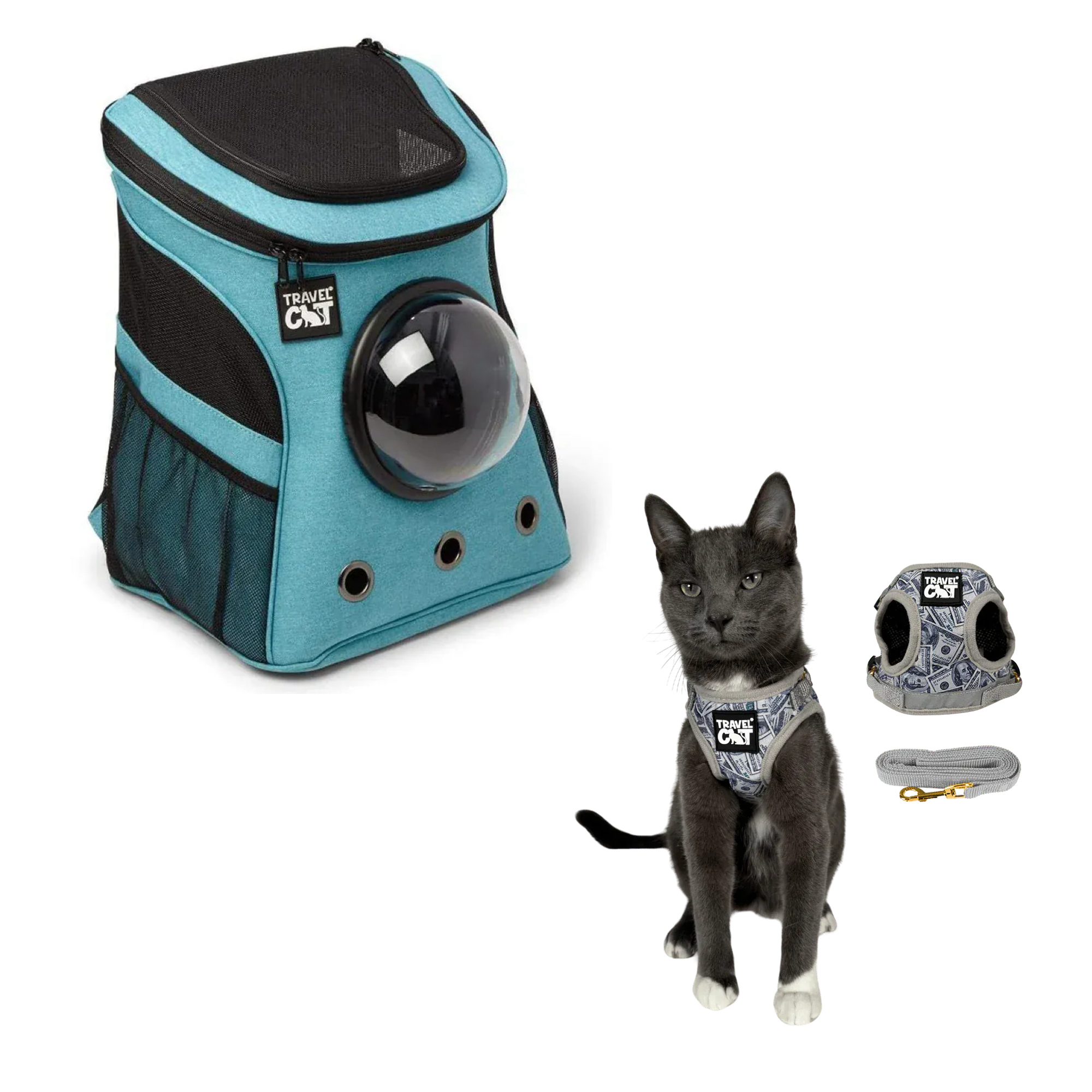 fat_cat_aqua__cash_cat.png
