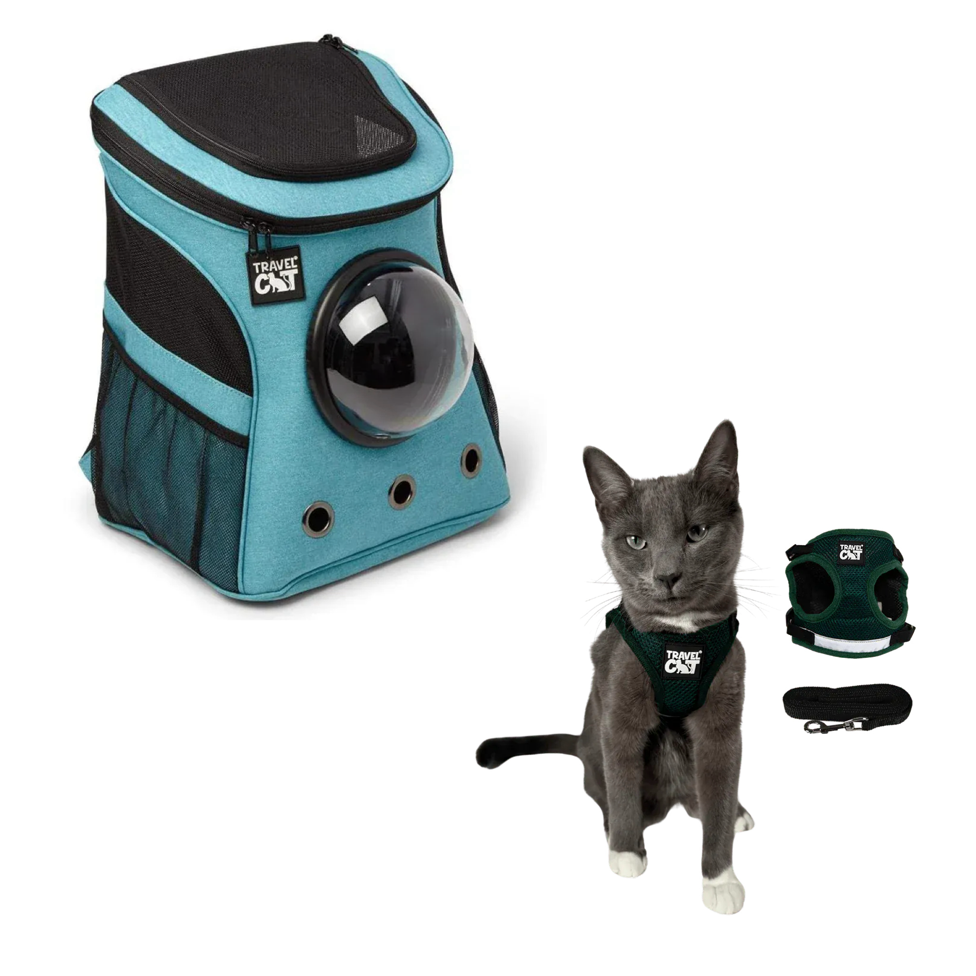 fat_cat_aqua__emerald_1.png