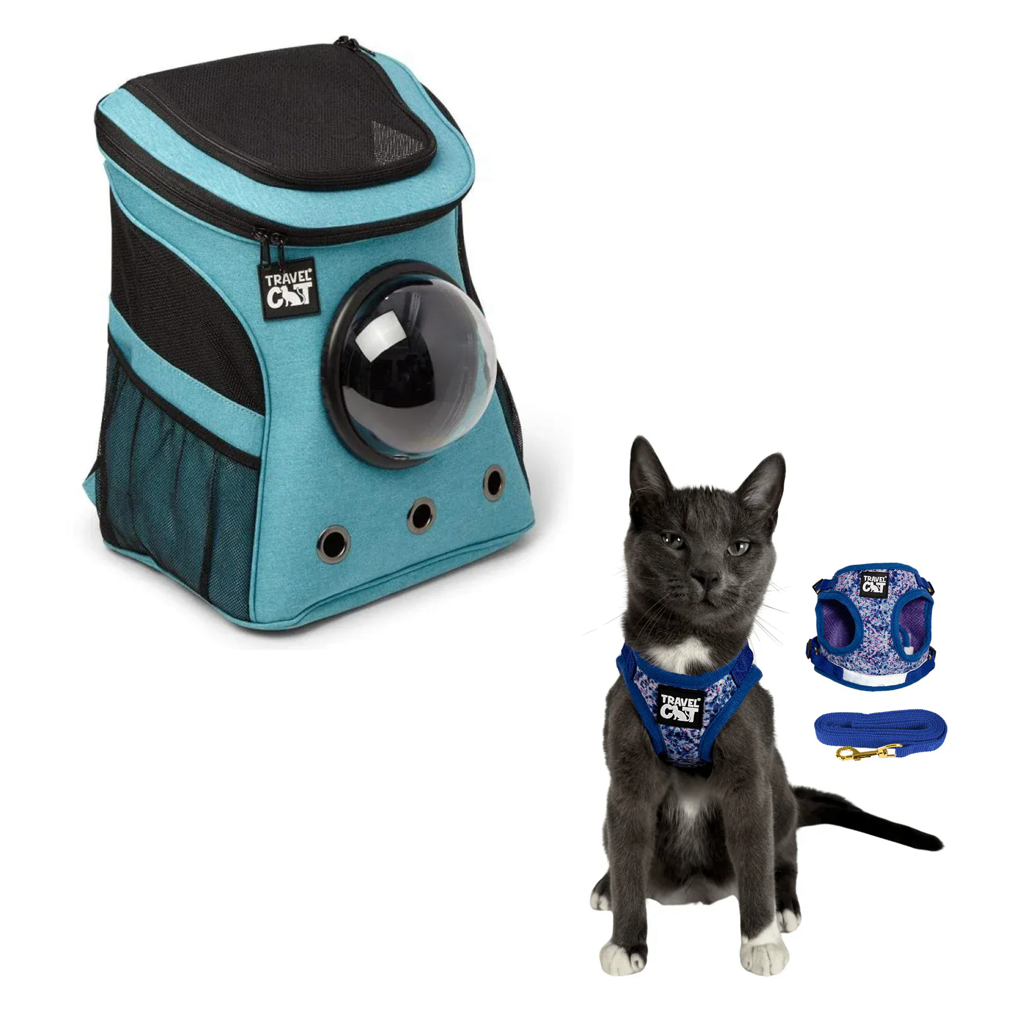 fat_cat_aqua__groovy_1.png