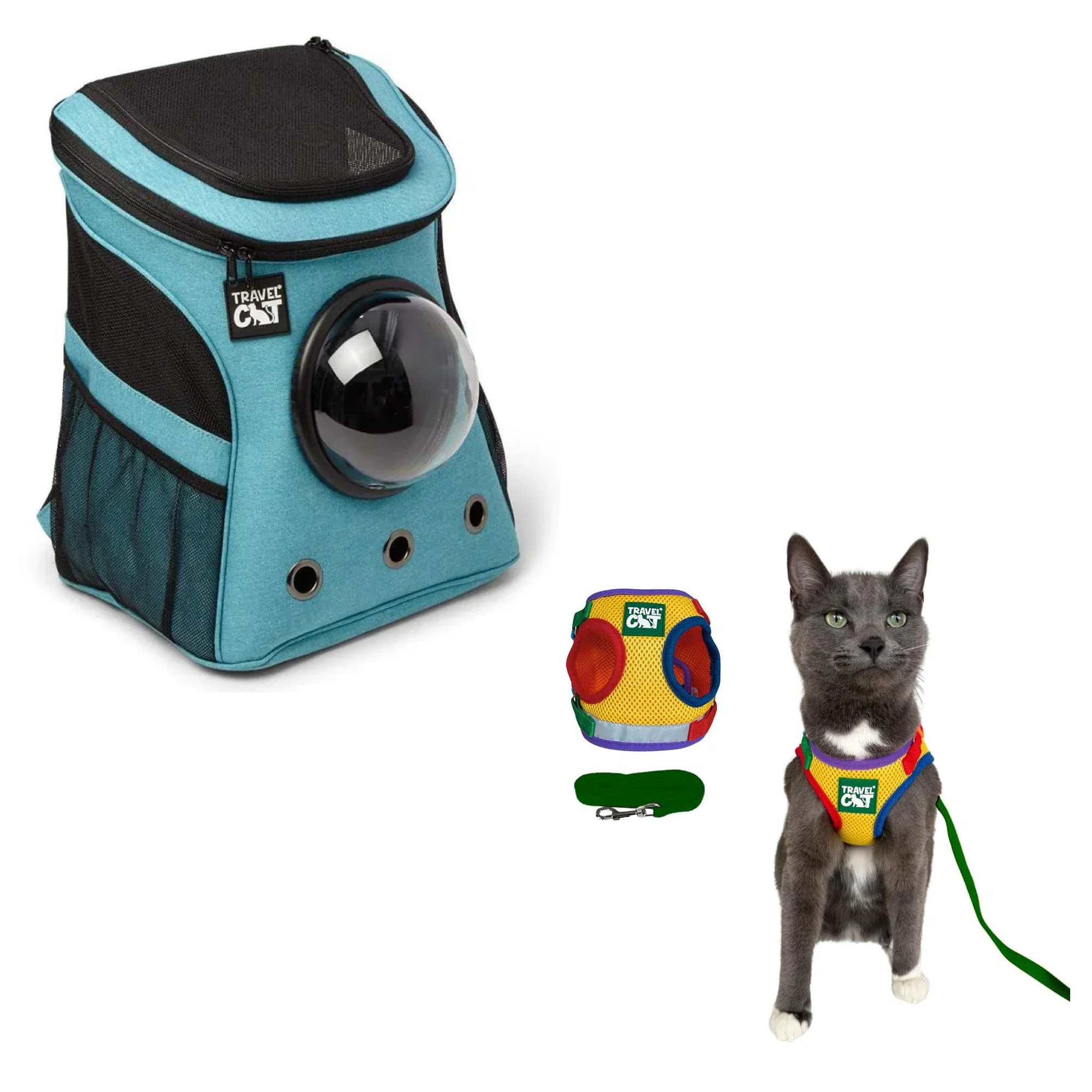 fat_cat_aqua__rainbow_1.png