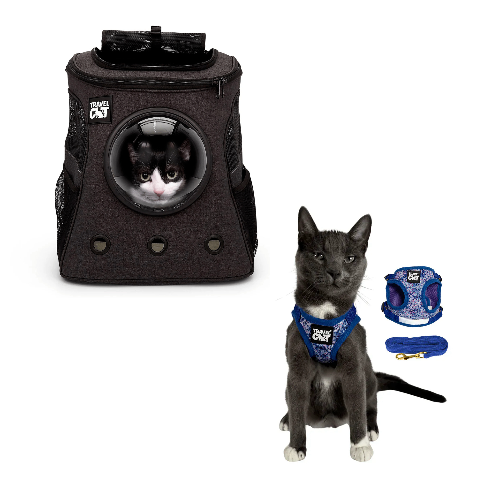 fat_cat_charcoal__groovy_1.png