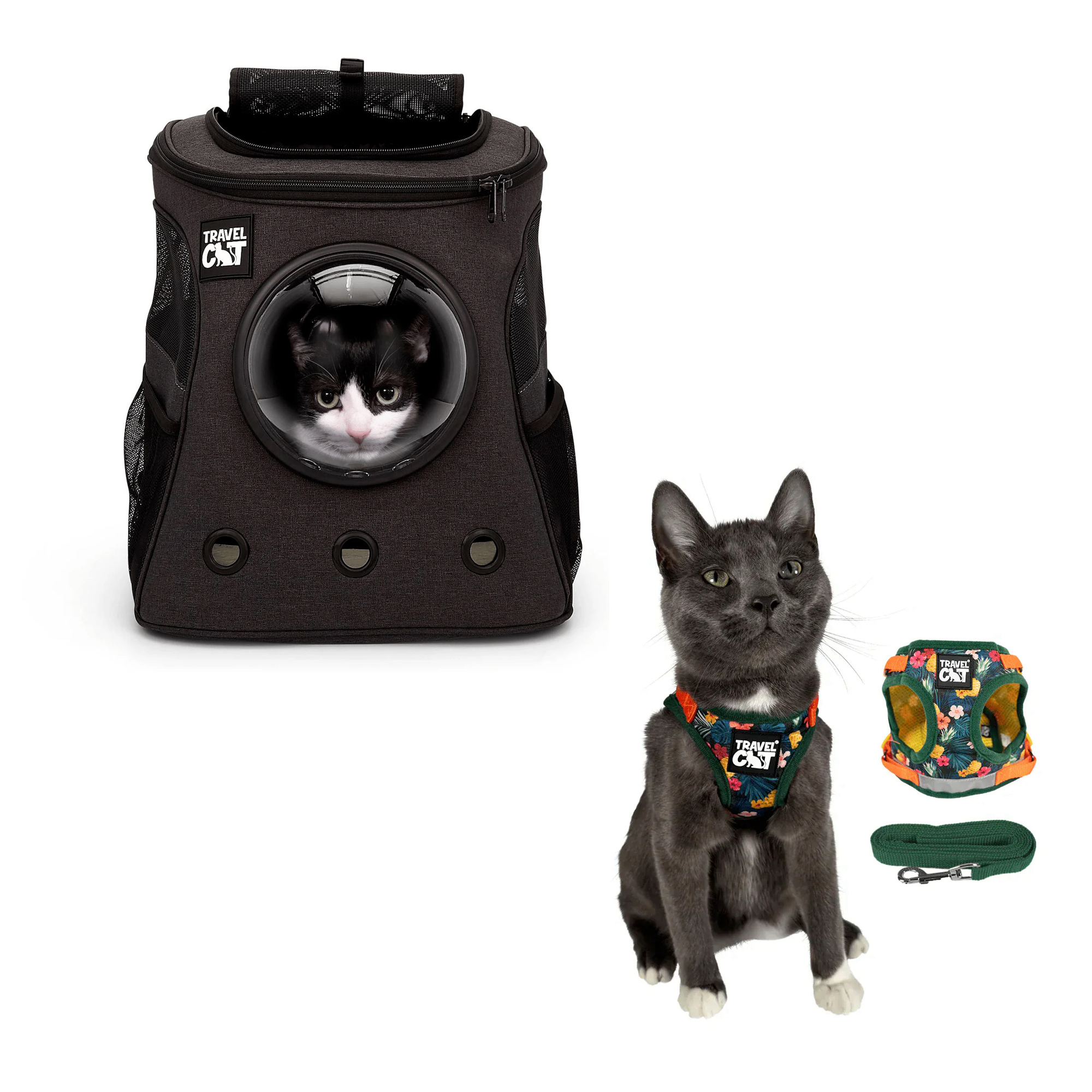 fat_cat_charcoal__hawaiian_1.png