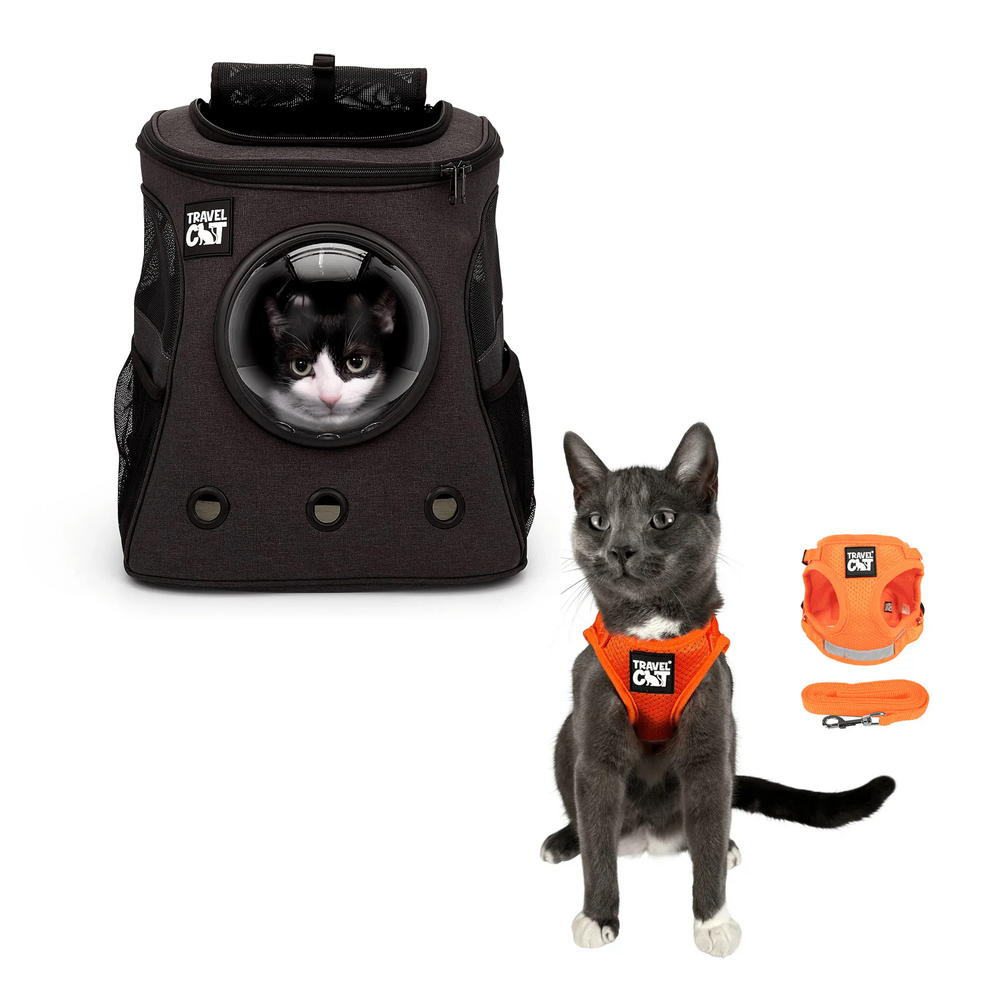 fat_cat_charcoal__orange_1.png