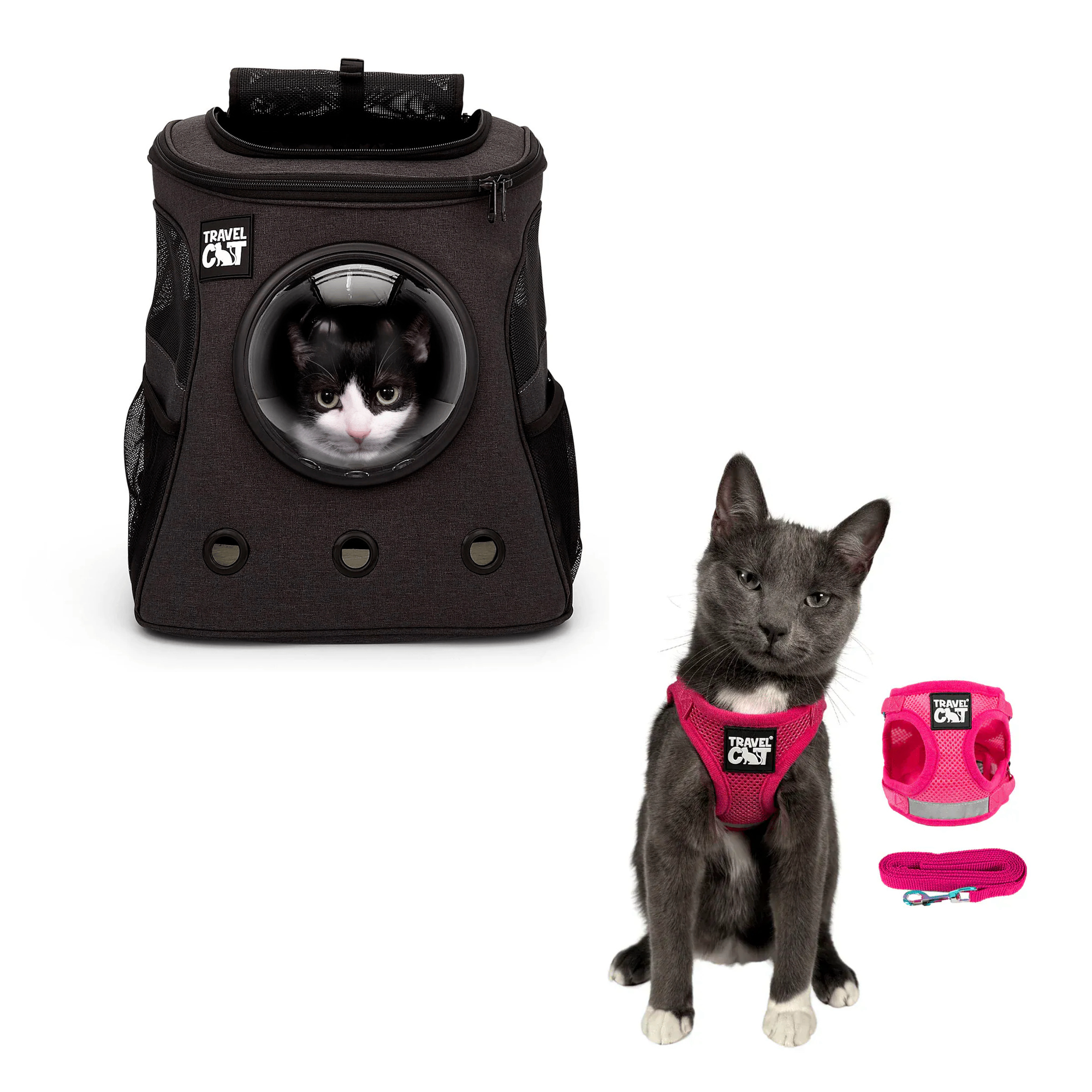 fat_cat_charcoal__pink_2.png