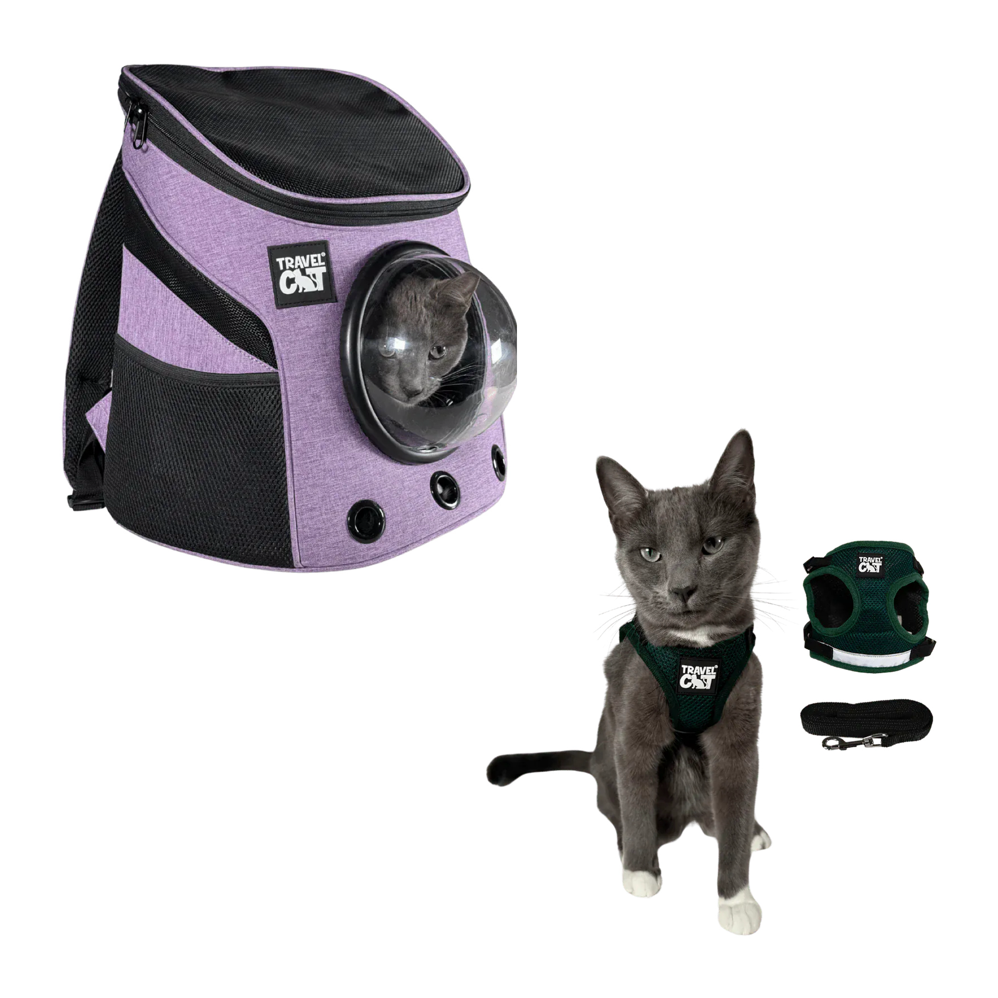 fat_cat_mini_purple__emerald_1.png