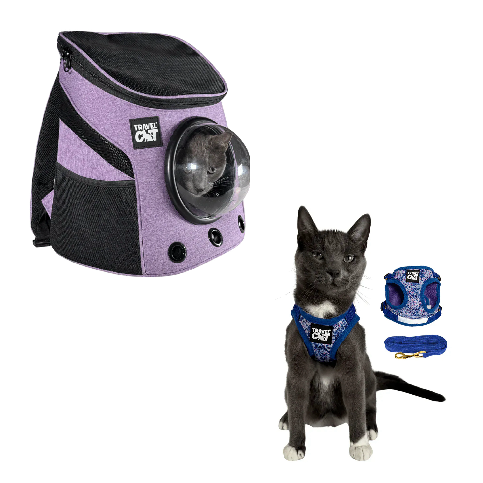 fat_cat_mini_purple__groovy_1.png