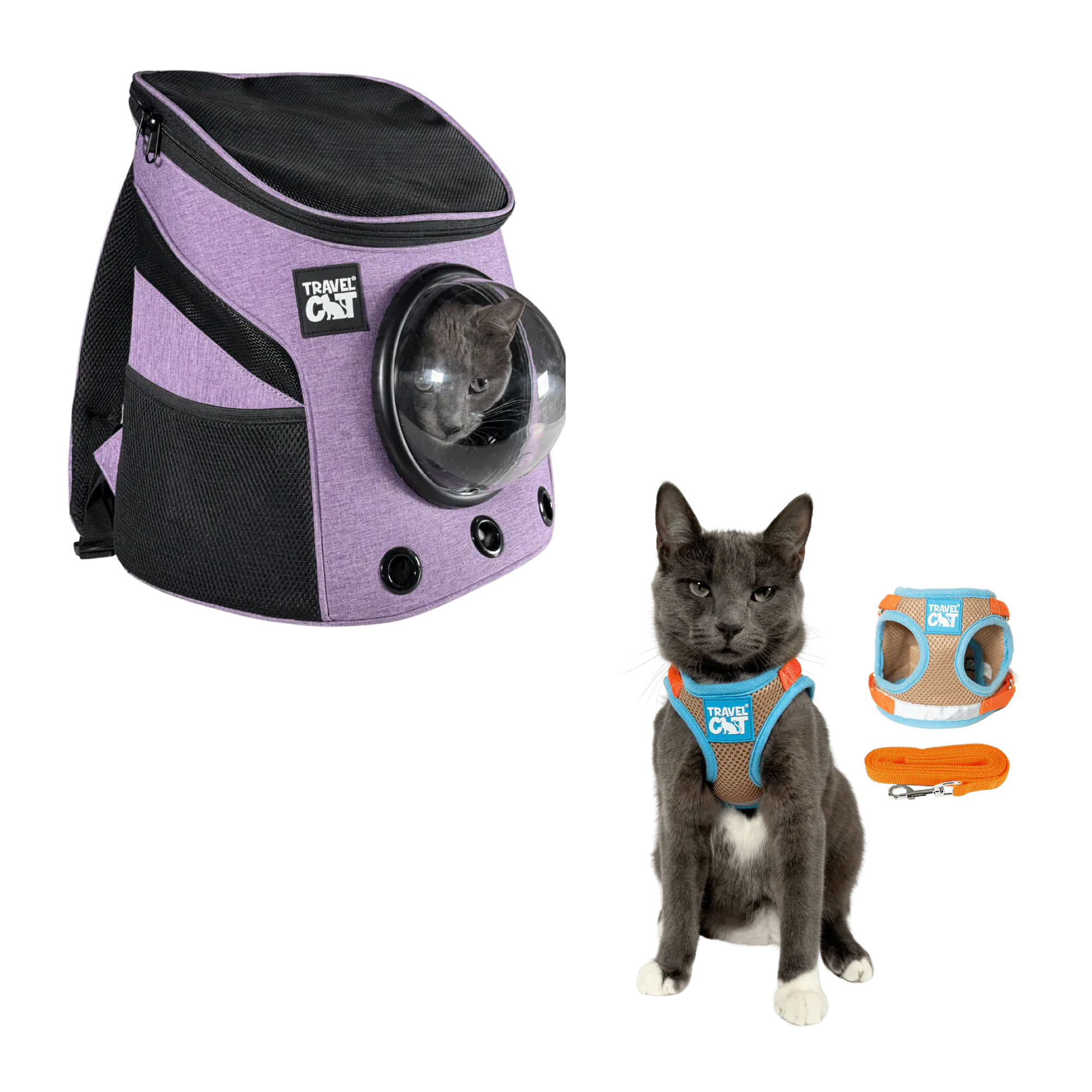 fat_cat_mini_purple__oasis_1.png