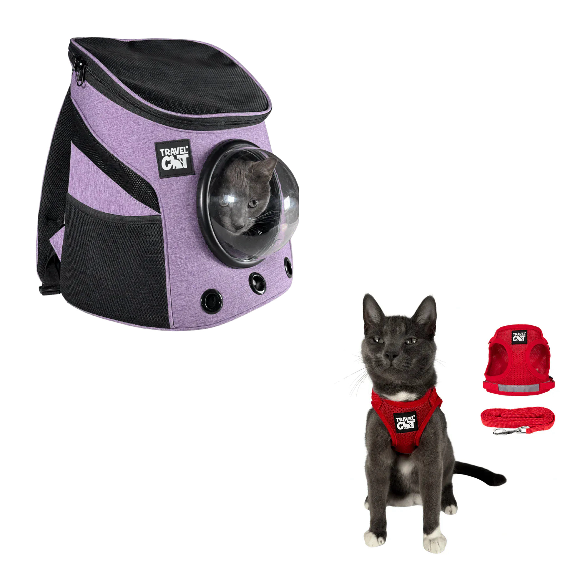 fat_cat_mini_purple__red_1.png