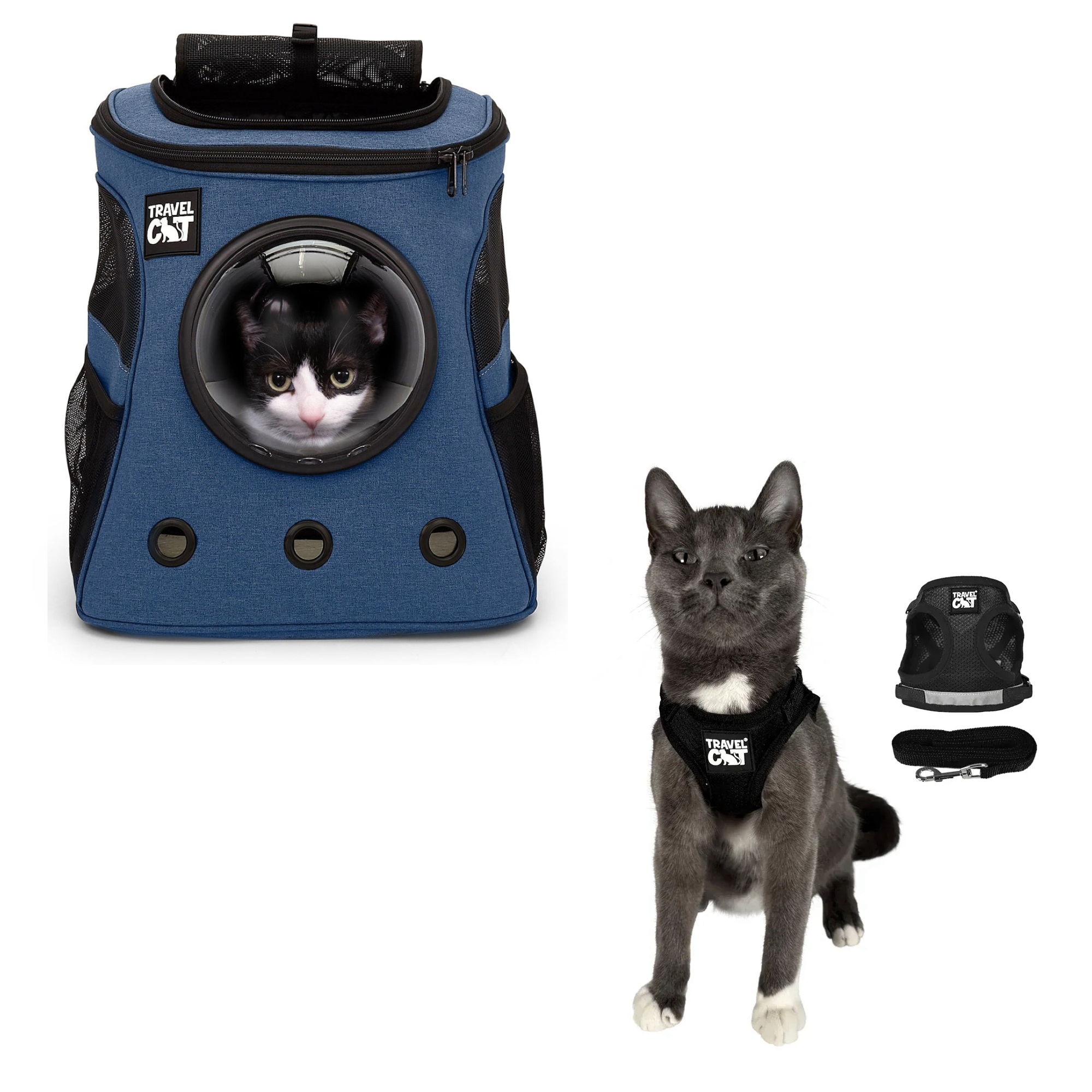 fat_cat_navy__black_1.png