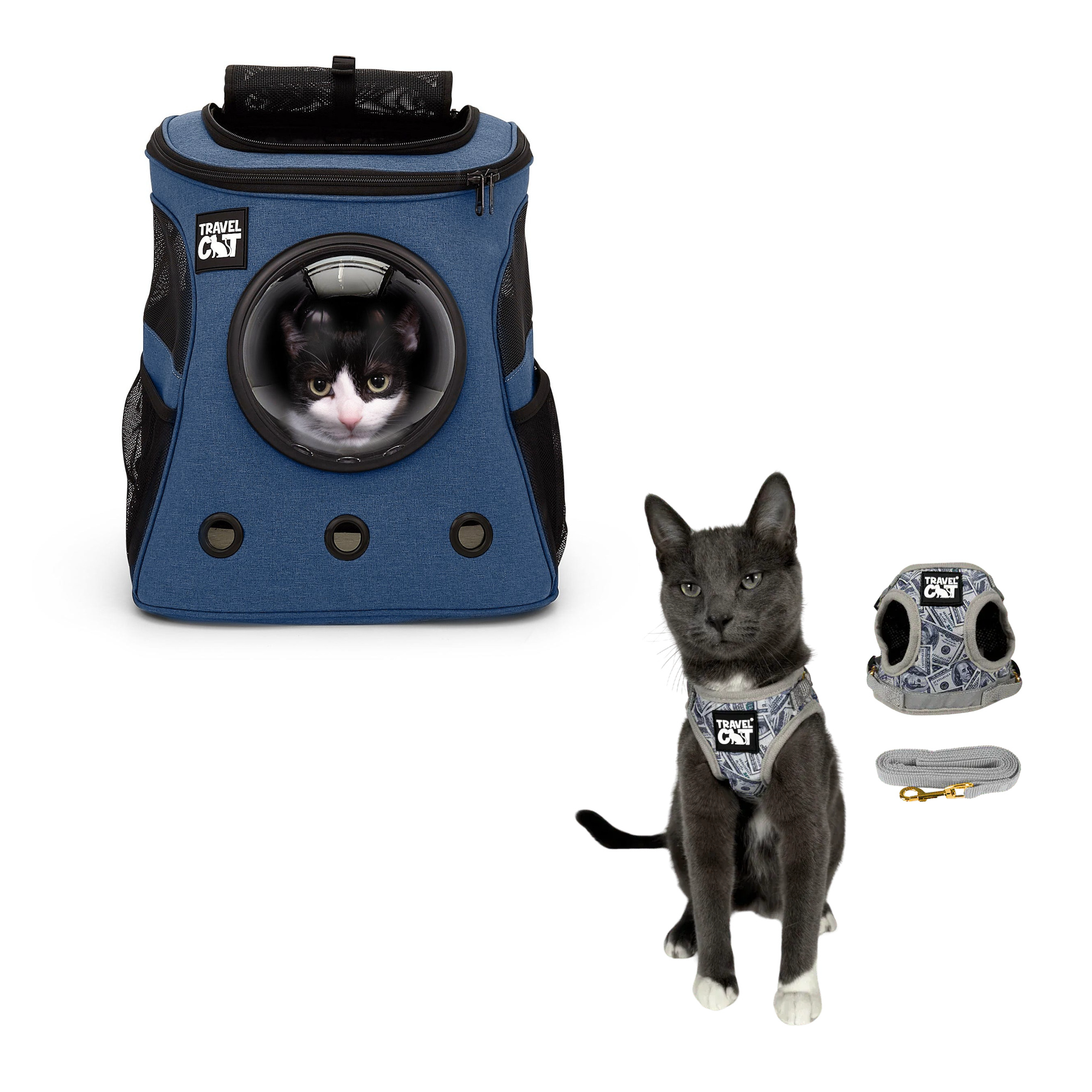 fat_cat_navy__cash_cat.png