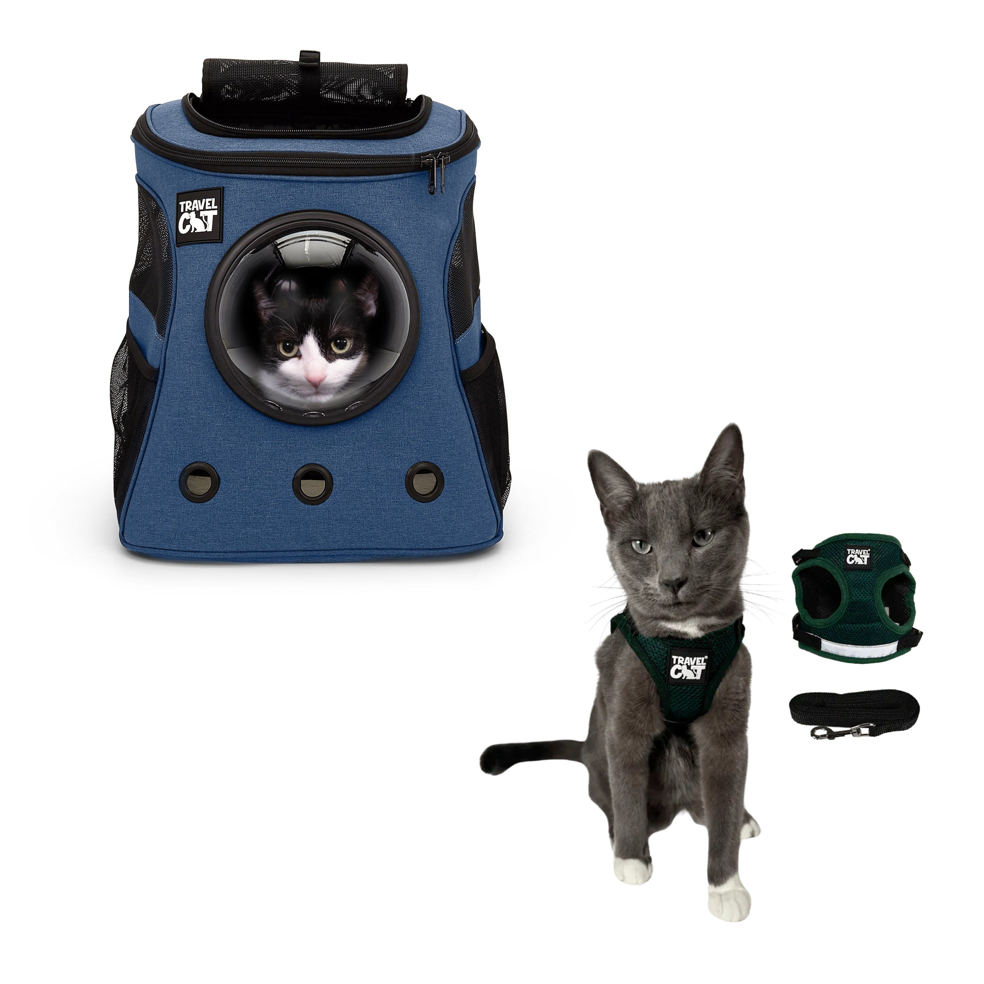 fat_cat_navy__emerald_1.png