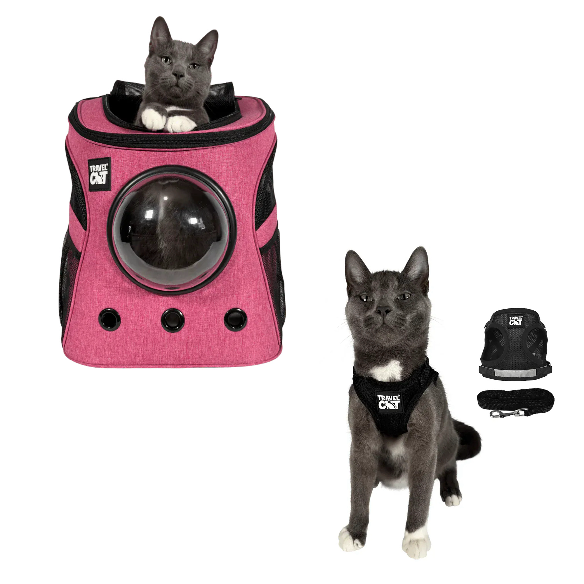 fat_cat_pink__black_1.png