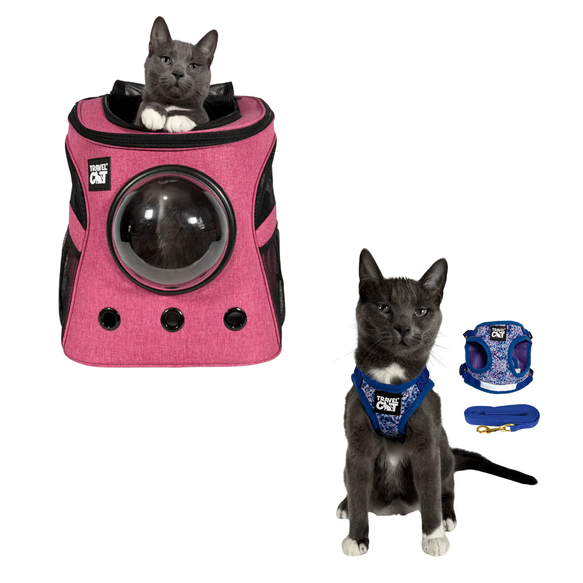 fat_cat_pink__groovy_1.png