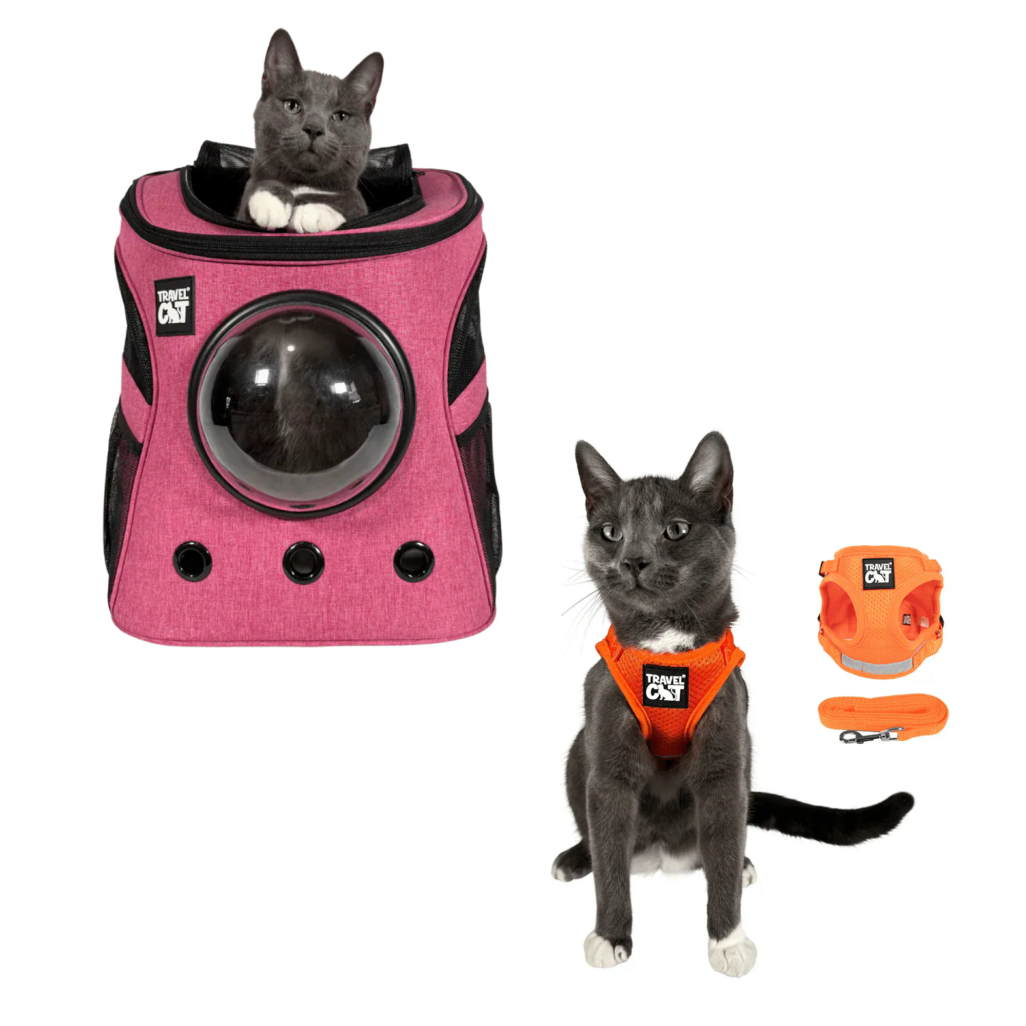 fat_cat_pink__orange_1.png