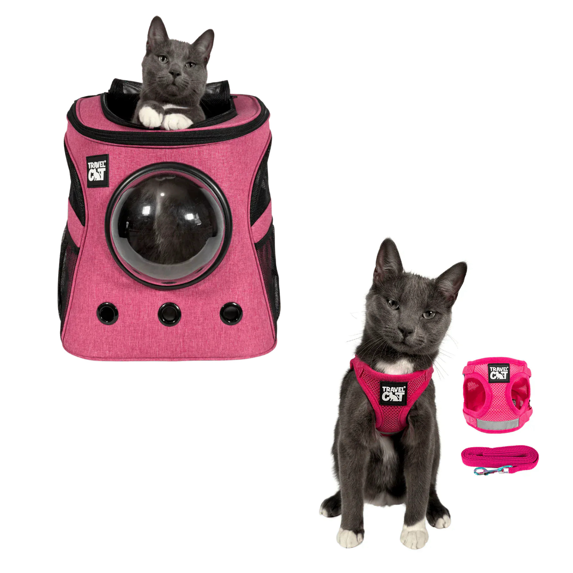 fat_cat_pink__pink_2.png