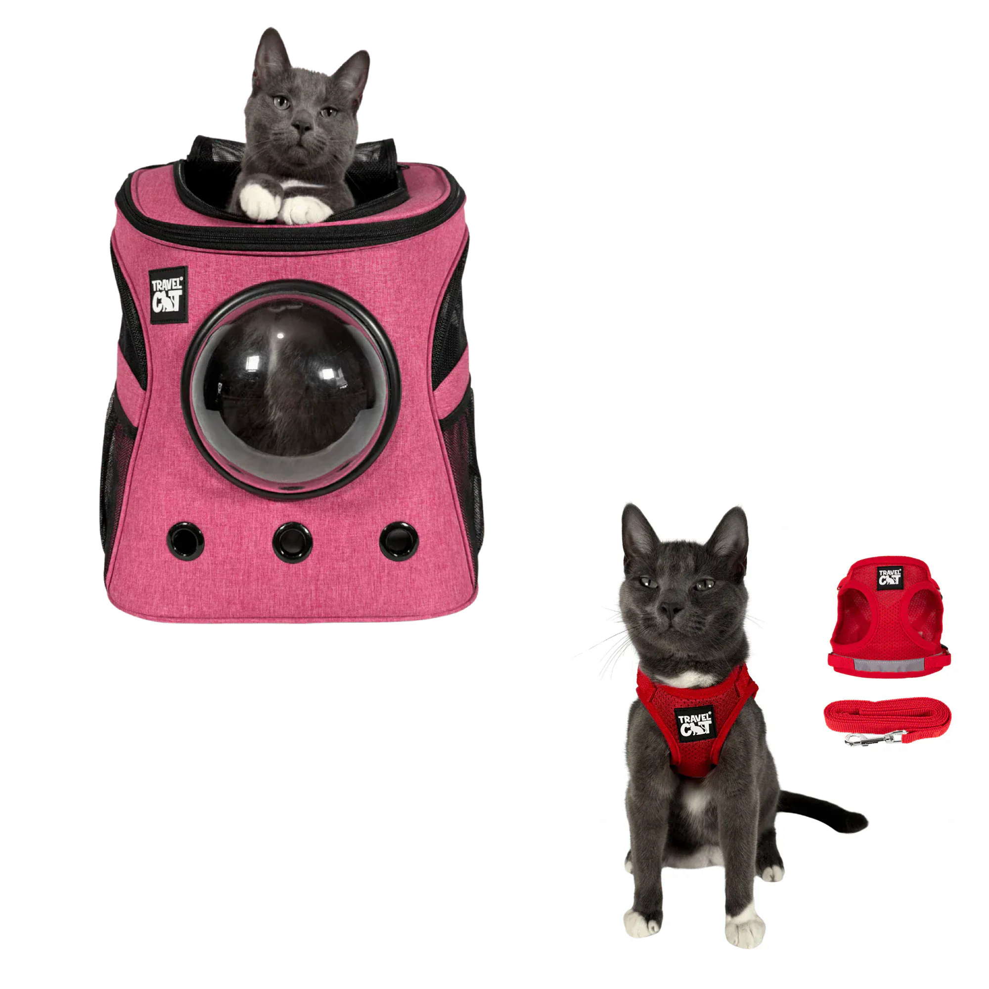 fat_cat_pink__red_1.png