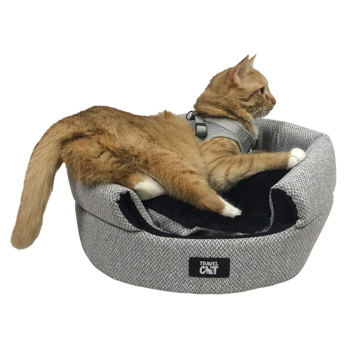 meowbilehomewilfieontopinharness_1200x_134b32f9-ae7f-4bc5-892a-4e2c2a74a535.jpg