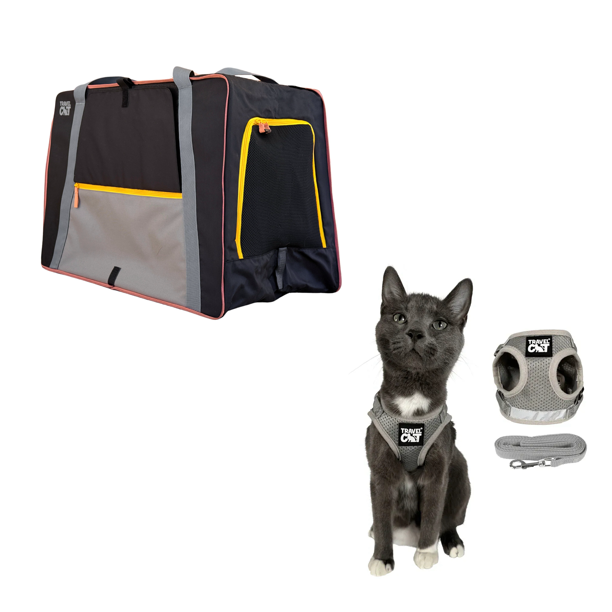 pack_n_paw__grey_1.png