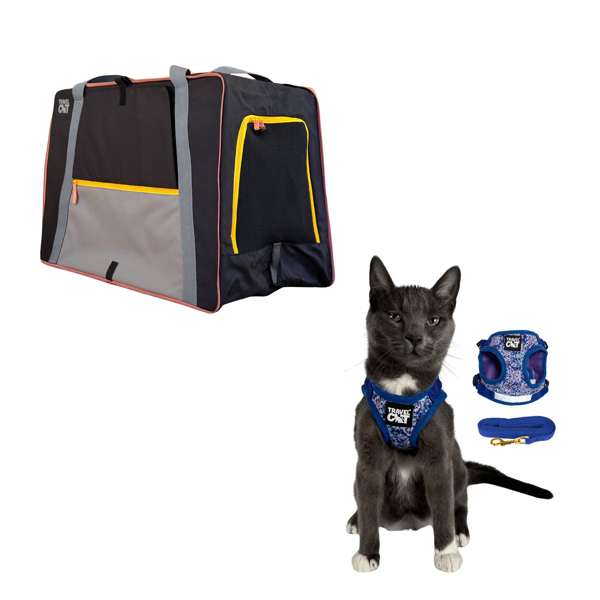 pack_n_paw__groovy_1.png