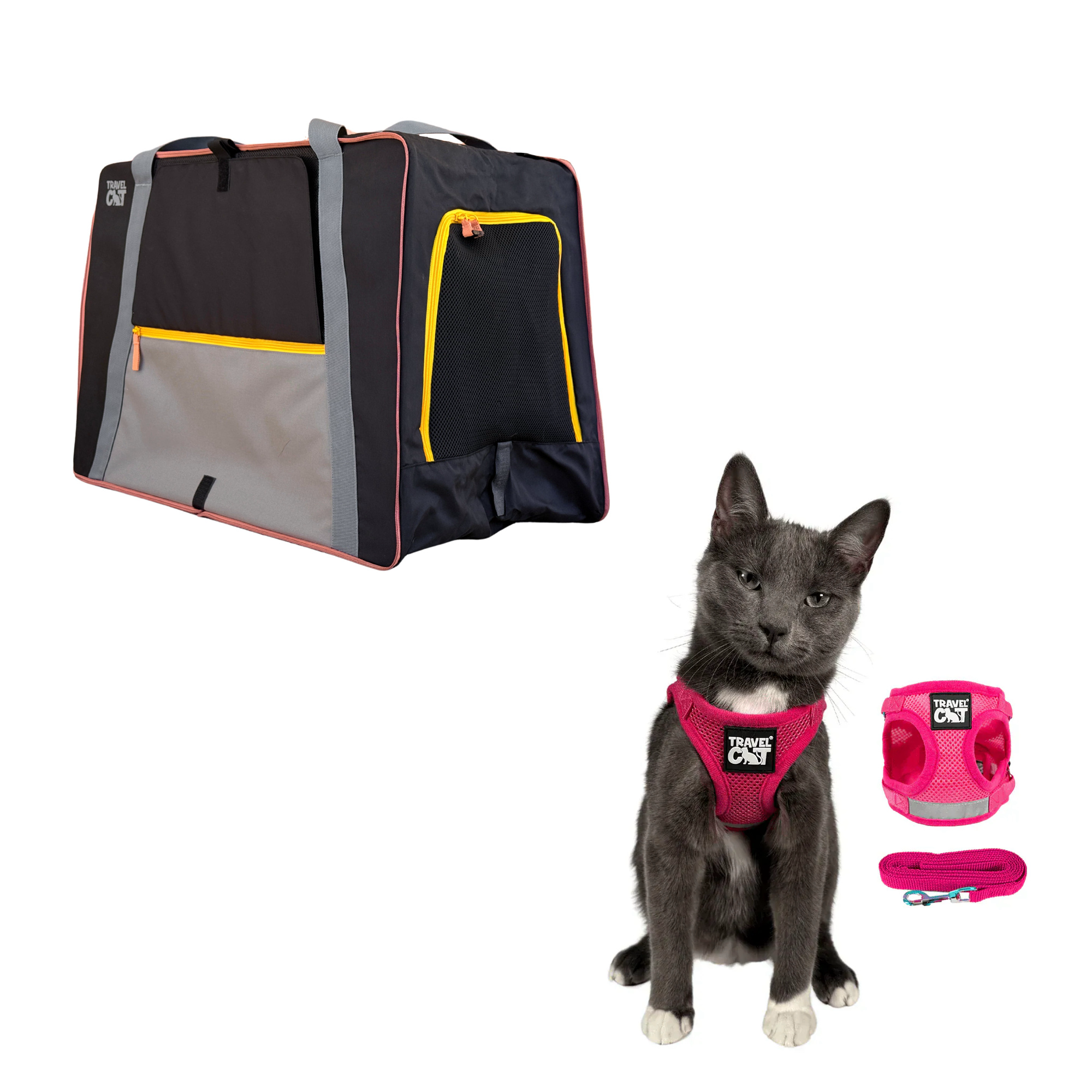 pack_n_paw__pink_2.png