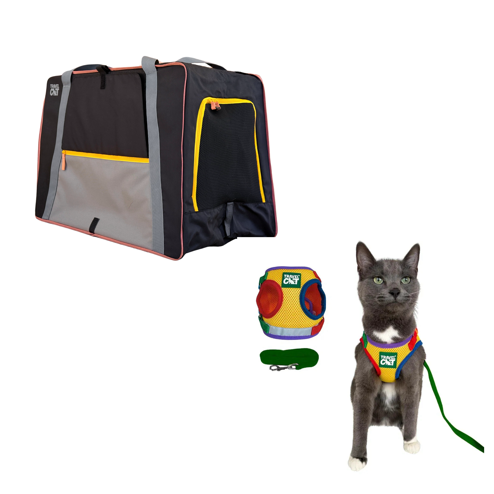 pack_n_paw__rainbow_1.png