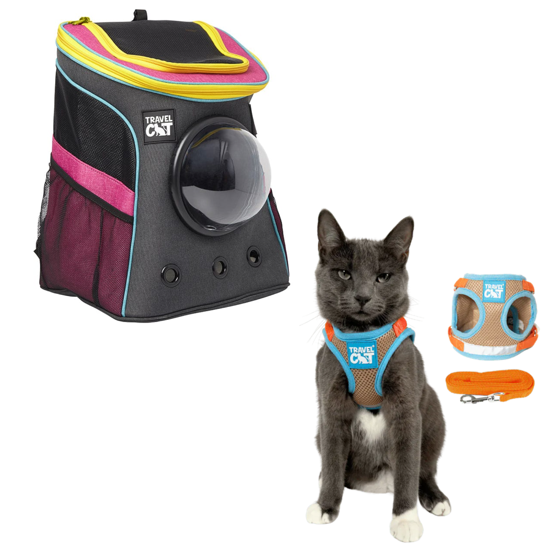 stray_backpack_7d14a9f6-1122-47d4-a025-3c627084d396__oasis_1.png