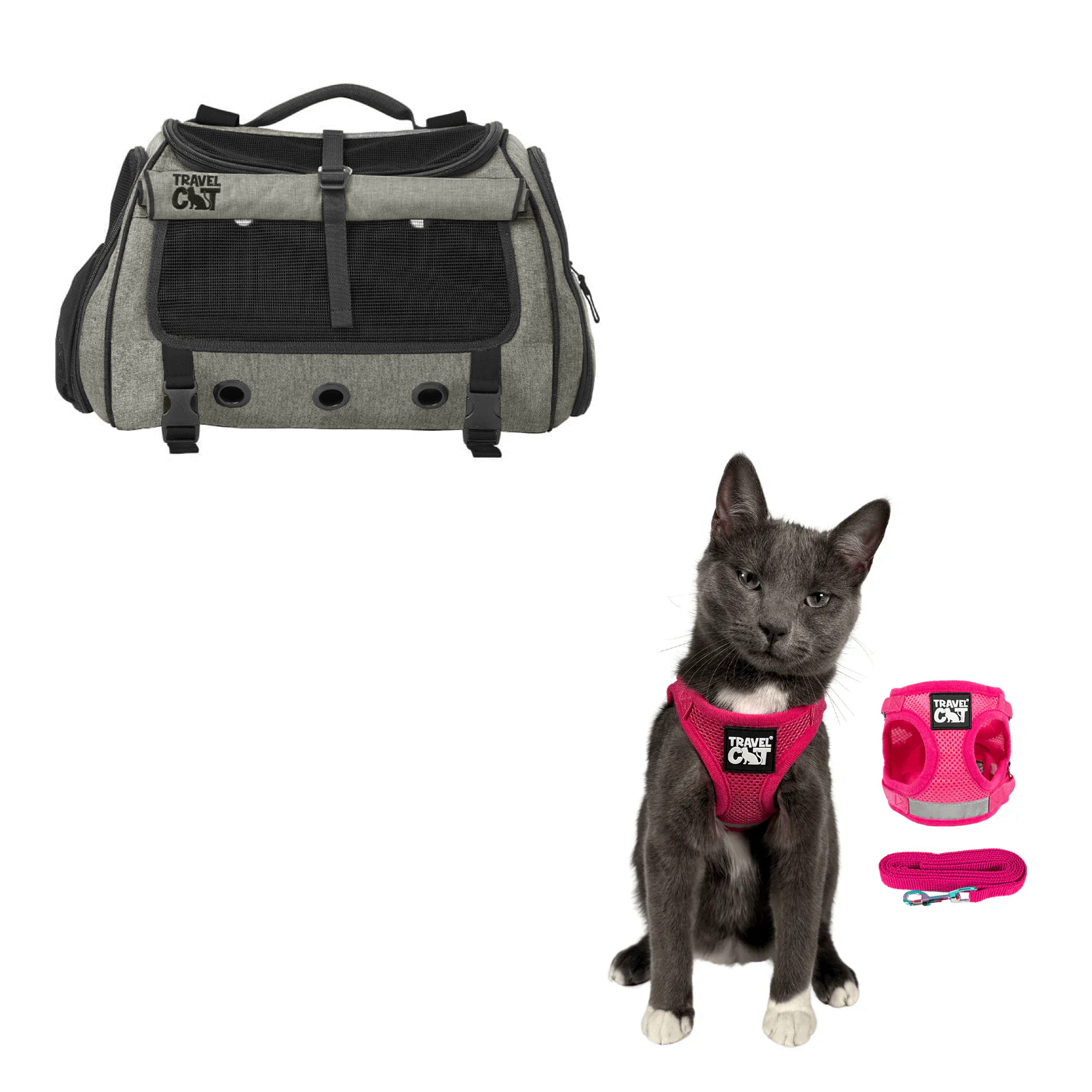 transpurrter_heather_black__pink_2.png