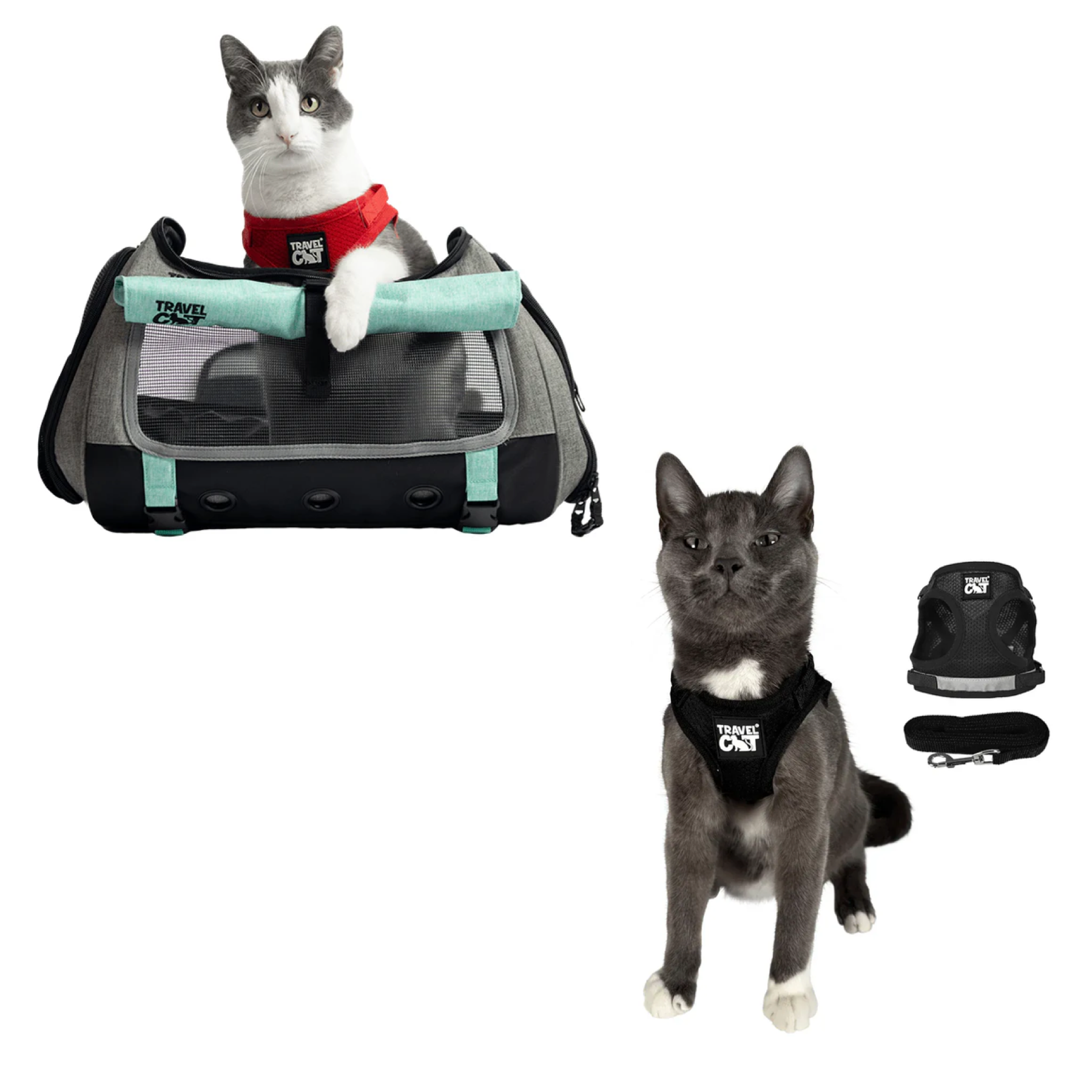 transpurrter_teal_7976867b-e278-4a3c-9a5d-fdd063e81e28__black_1.png