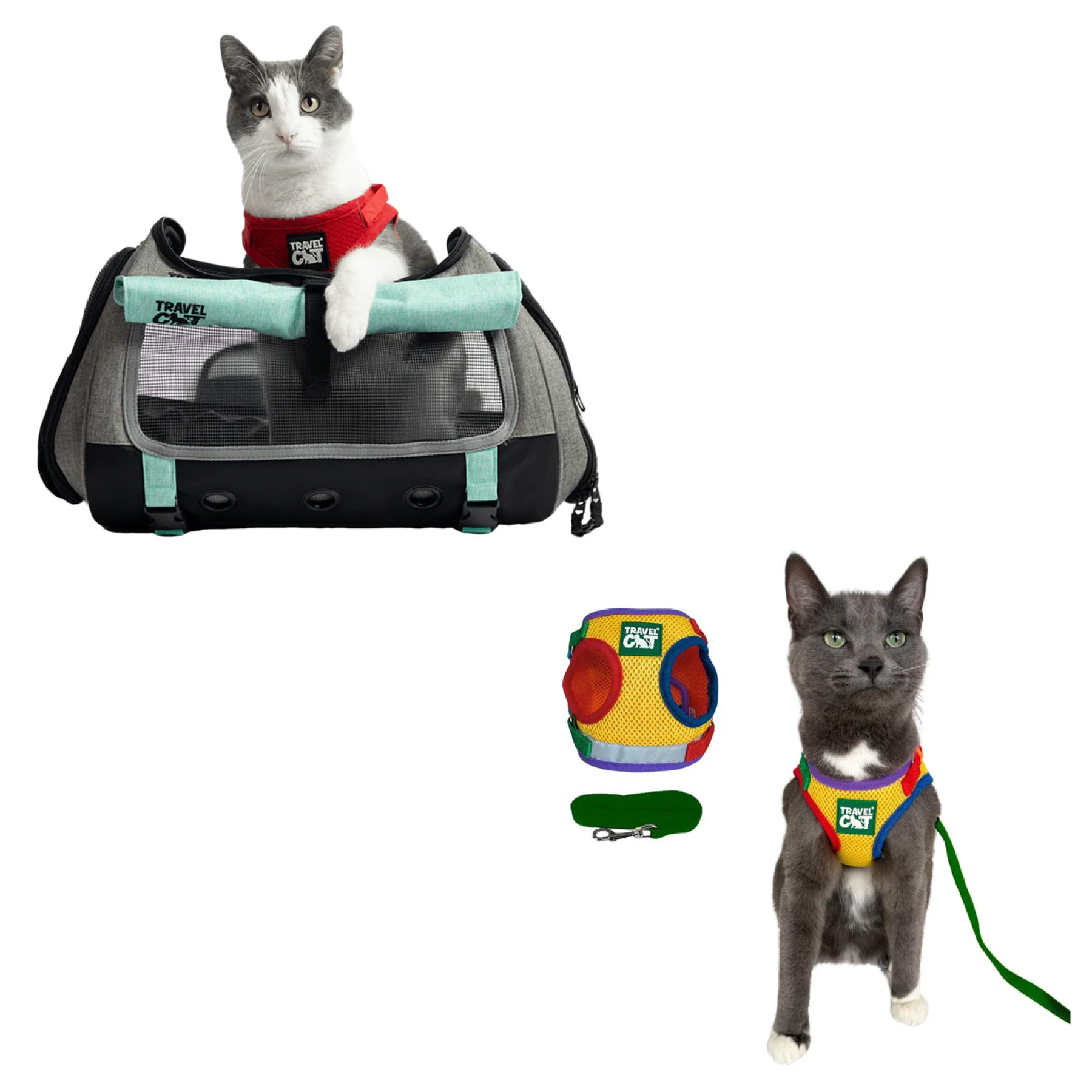 transpurrter_teal_7976867b-e278-4a3c-9a5d-fdd063e81e28__rainbow_1.png